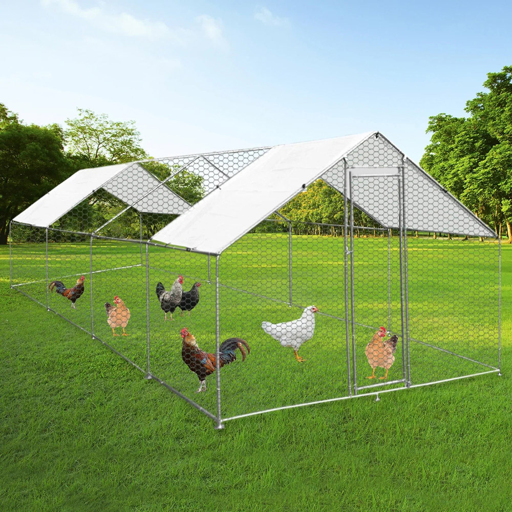 MonsterShop Heavy Duty Metal Walk-In Chicken Run with Cover and Feeding Scoop 2 x 3 x 8m Image 2