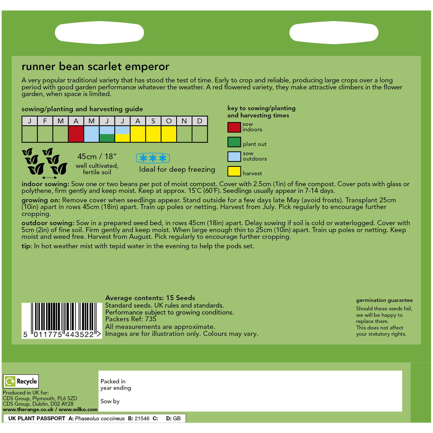 Runner Bean Scarlet Emperor Seeds Image 2