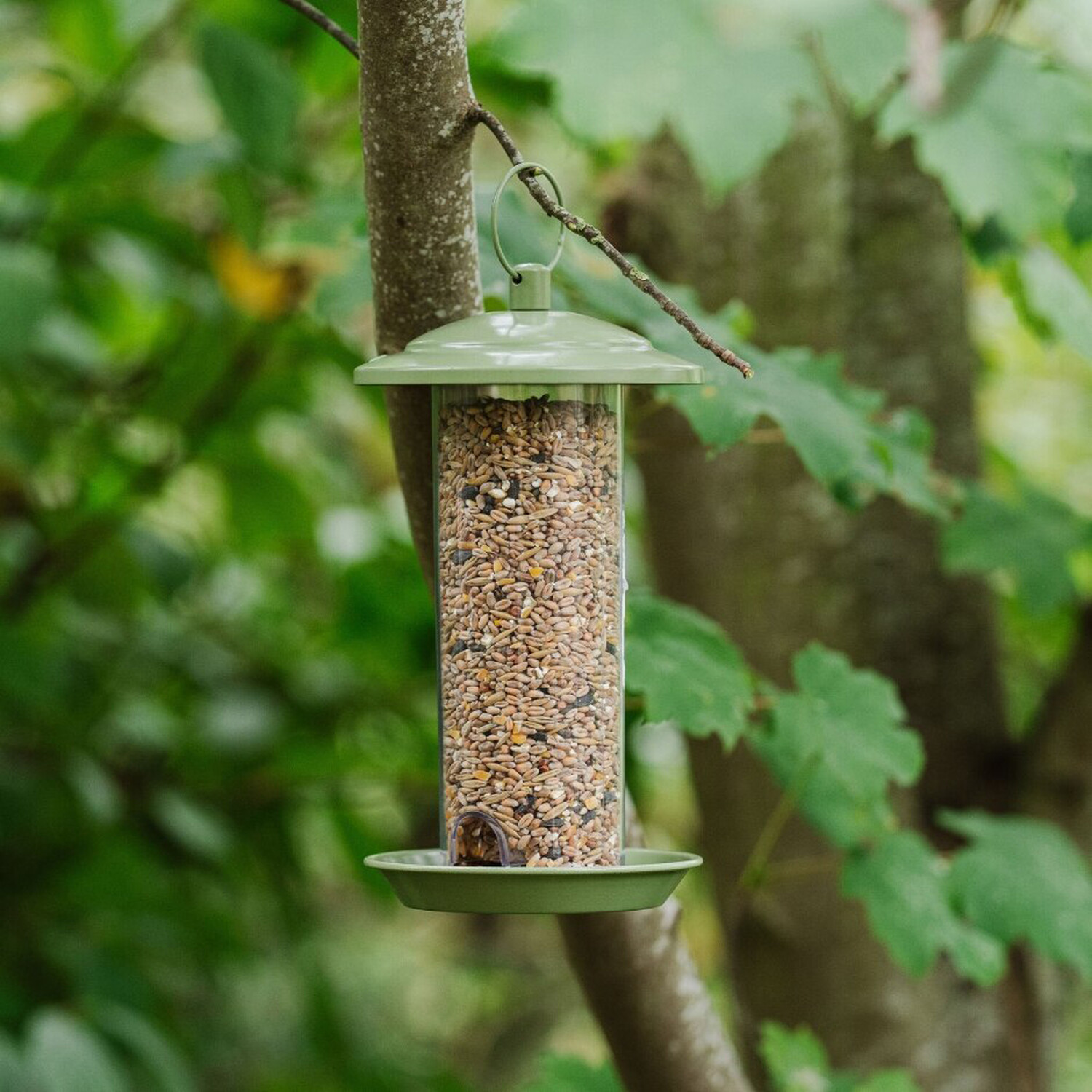 Peckish Canto Seed Feeder Image 2
