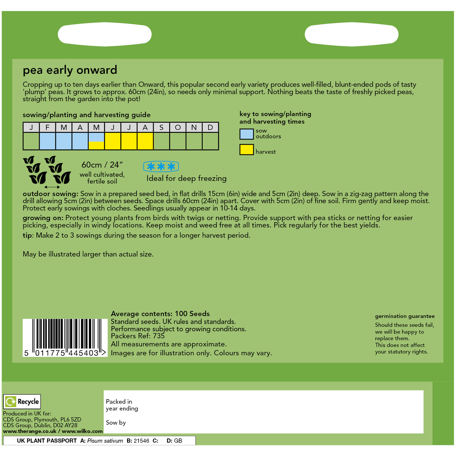 Pea Early Onwards Seeds Green Image 2