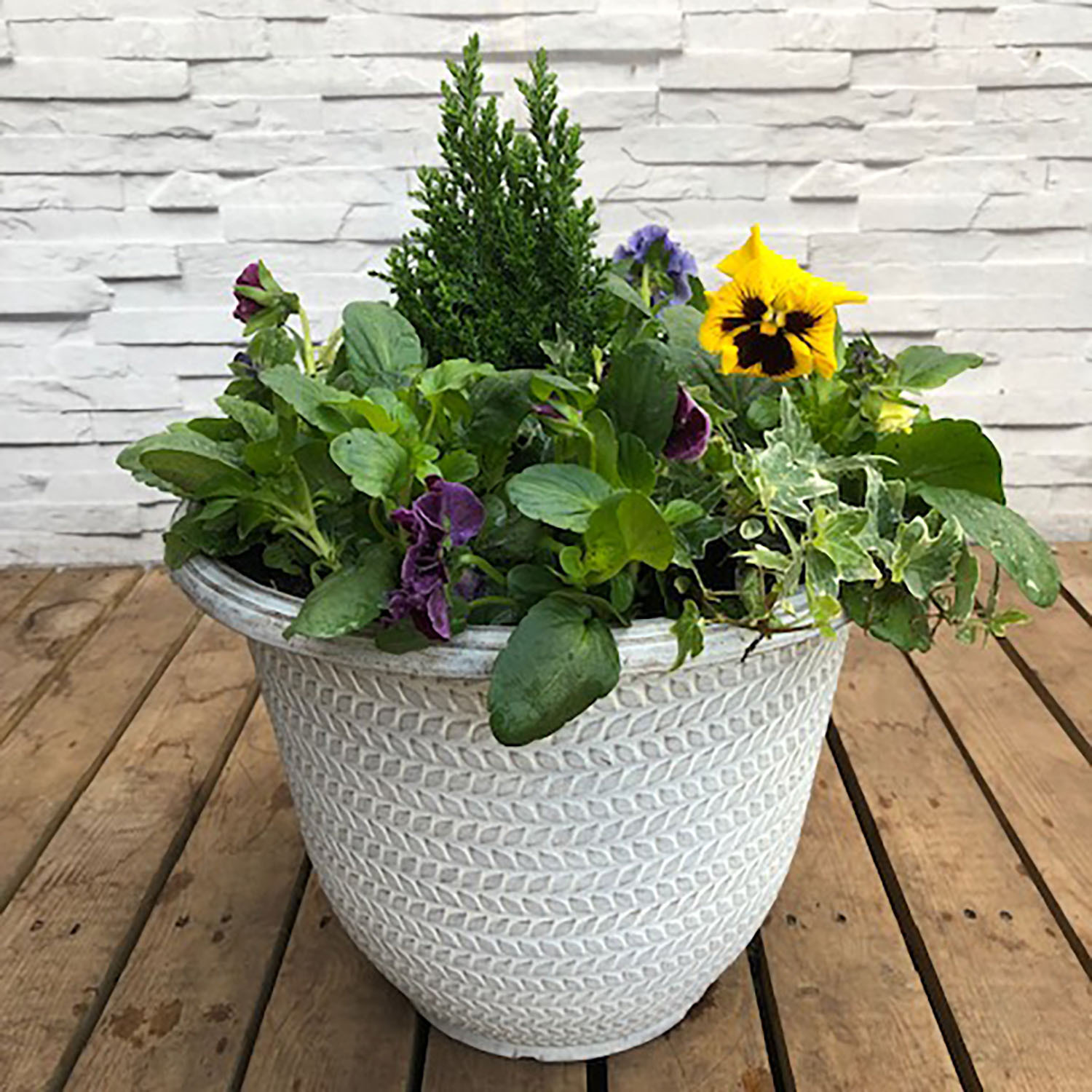 Spring Planter 30cm - Multicolour Image 1