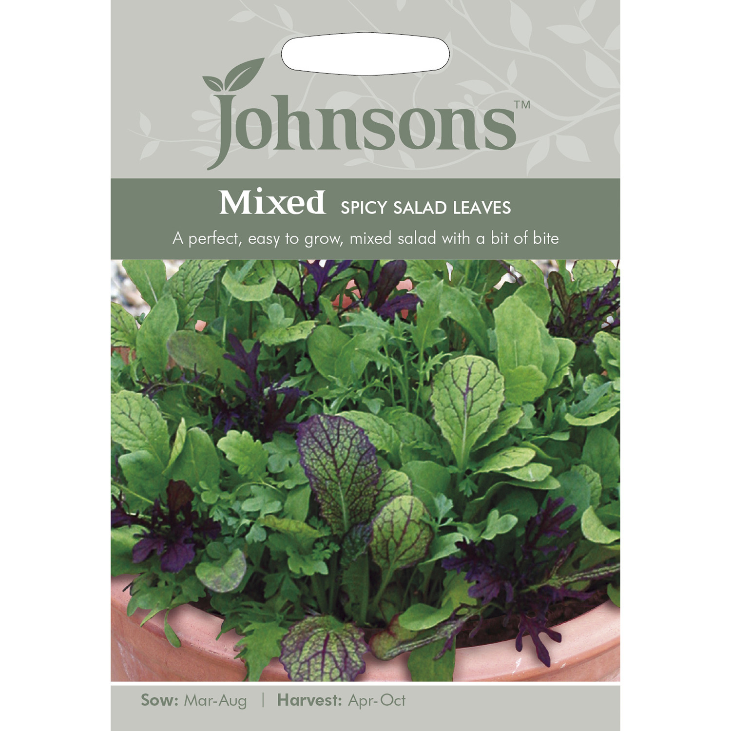 Johnsons Mixed Spicy Salad Leaves Seeds Image 2