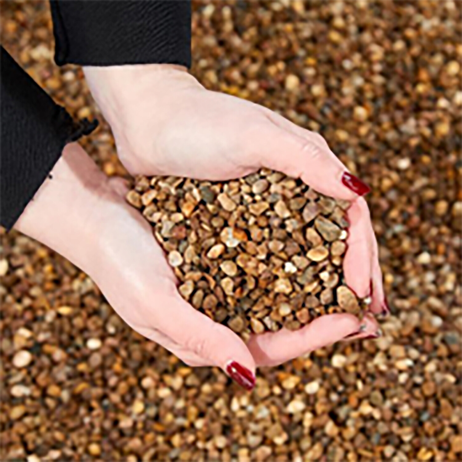 Horticultural Grit 5kg Image 2