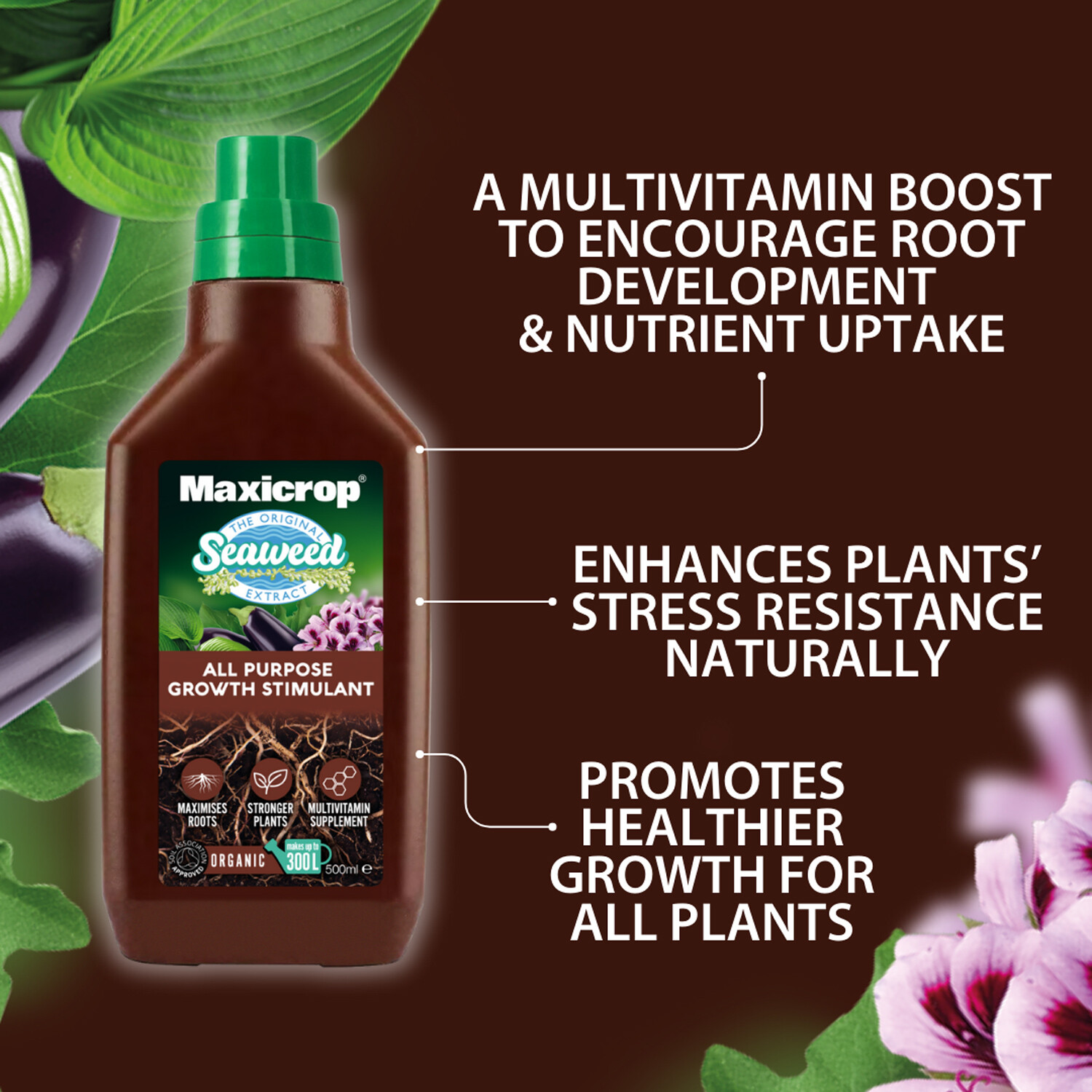 Maxicrop All Purpose Growth Stimulant - Brown Image 6