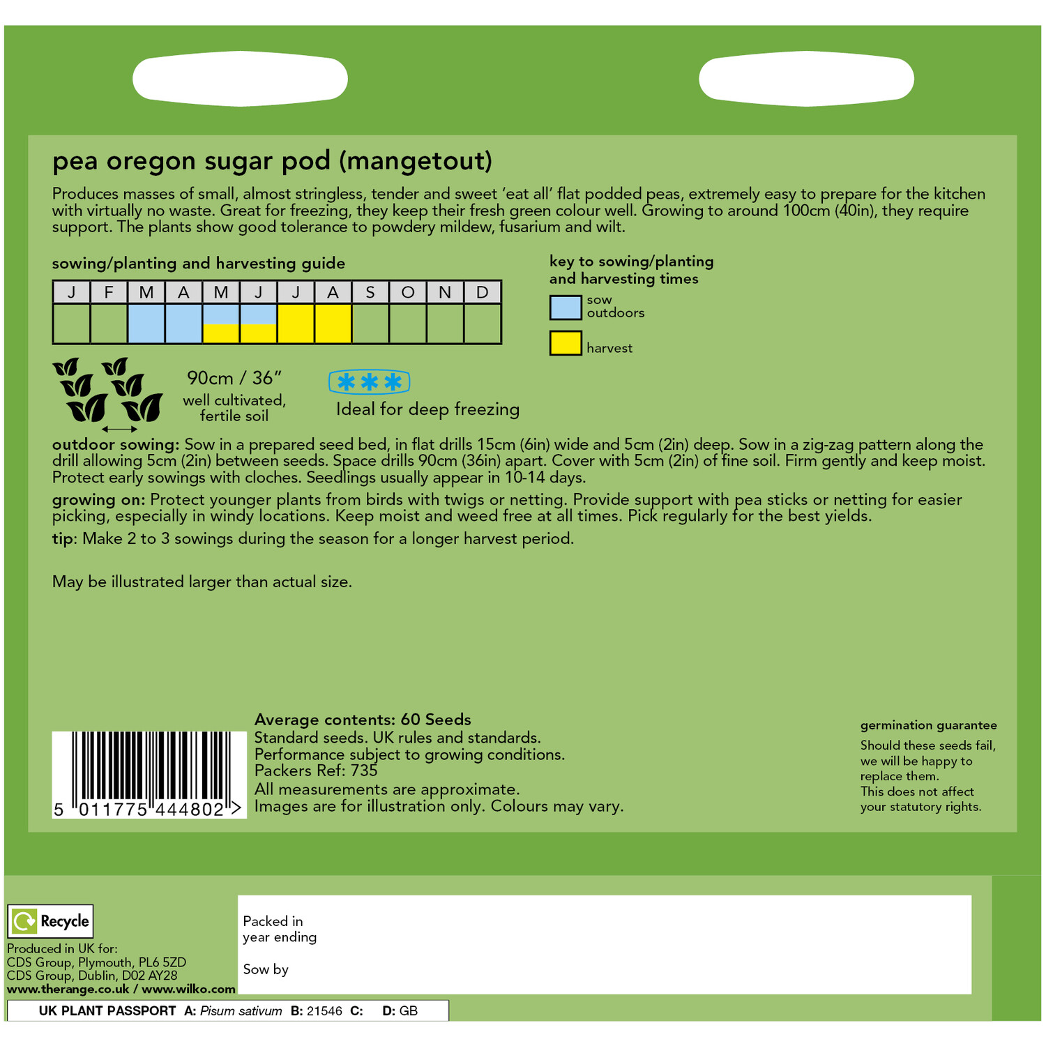 Pea Oregon Sugar Pod Mangetout Seeds Green Image 2