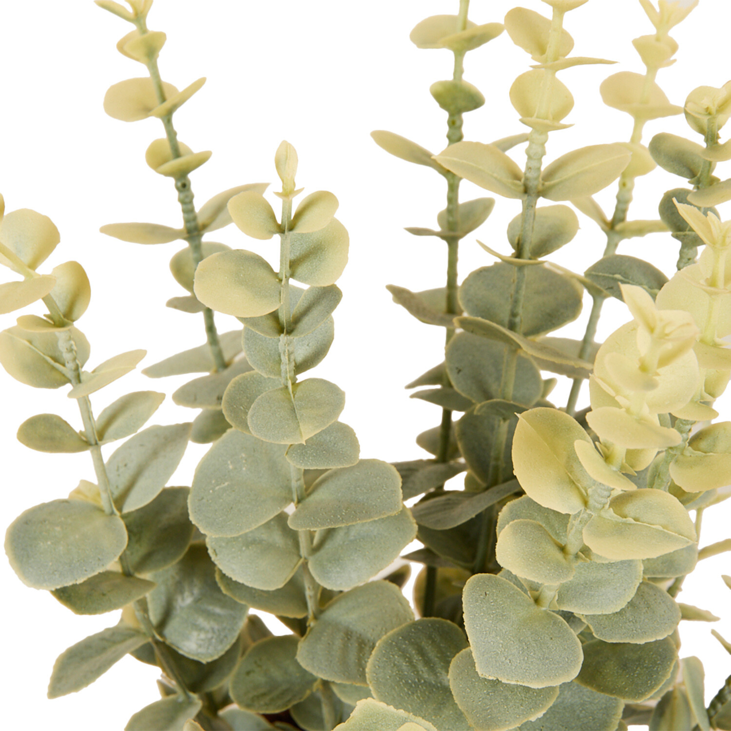 Eucalyptus in Water Hyacinth Basket 40cm - Green and Brown Image 4