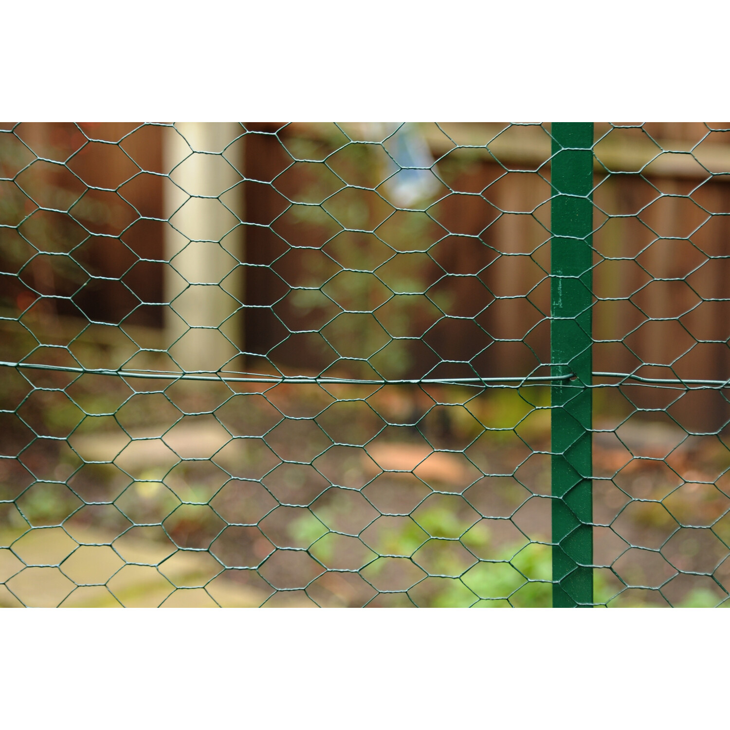 PVC Coated Galvanised Wire Netting - 50cm / 10m Image 3