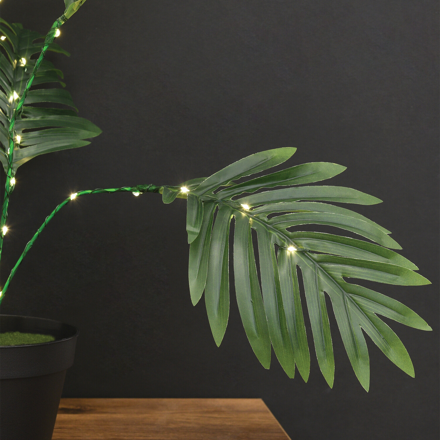 Table Palm Tree Light Green Image 4