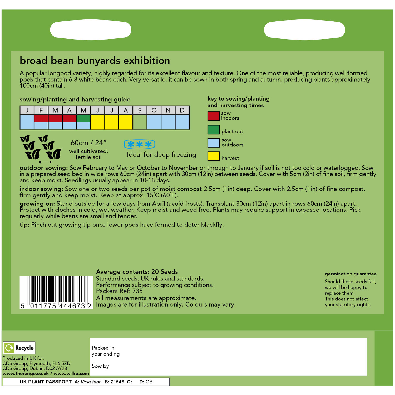 Broad Bean Bunyards Exhibition Seeds Green Image 2