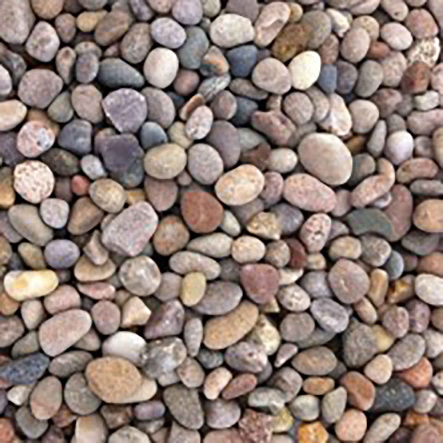 Scottish Cobble Pebbles 25kg Image 2