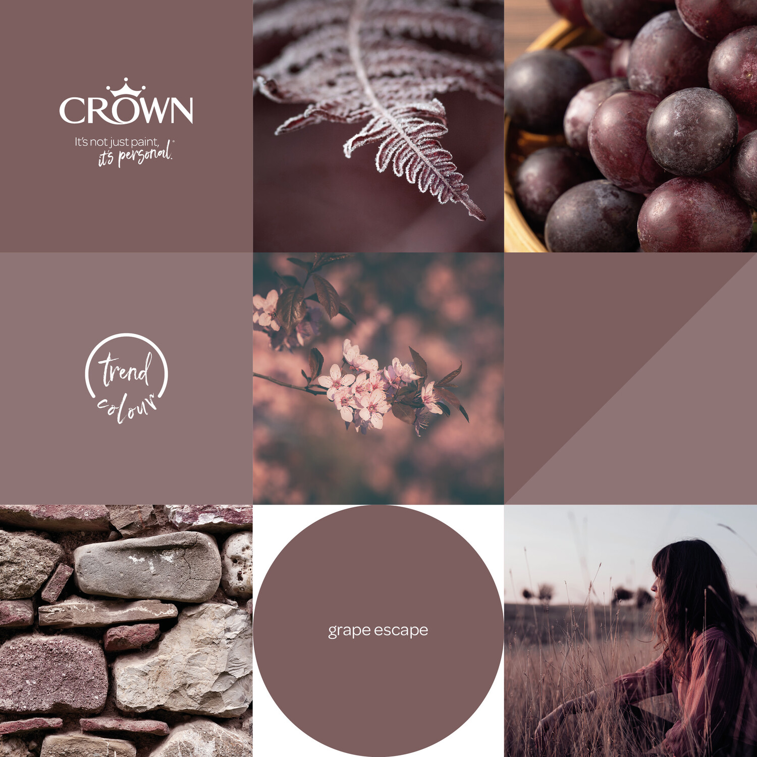 Crown Walls and Ceilings Grape Escape Matt Emulsion Paint 2.5L Image 6