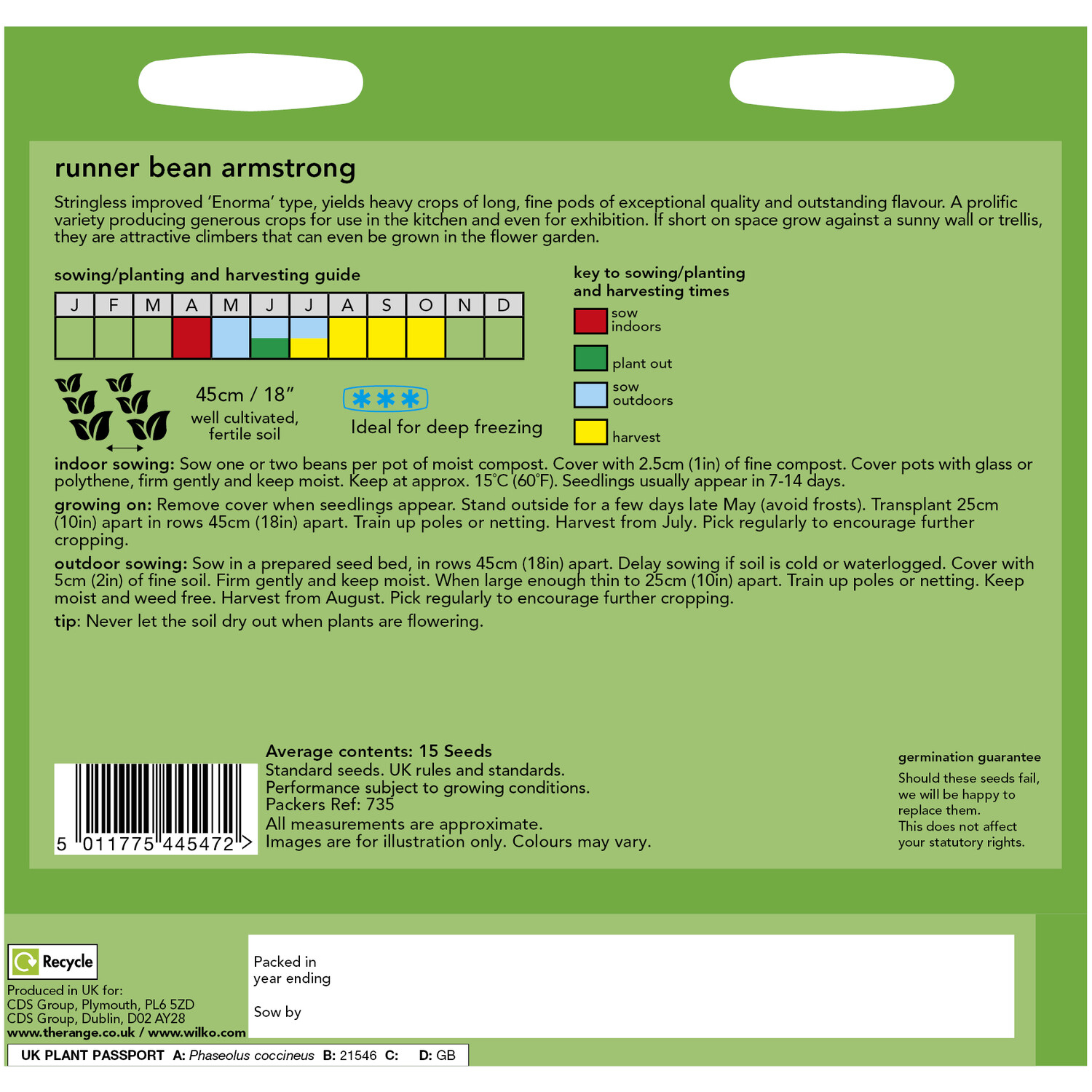 Runner Bean Armstrong Seeds Image 2