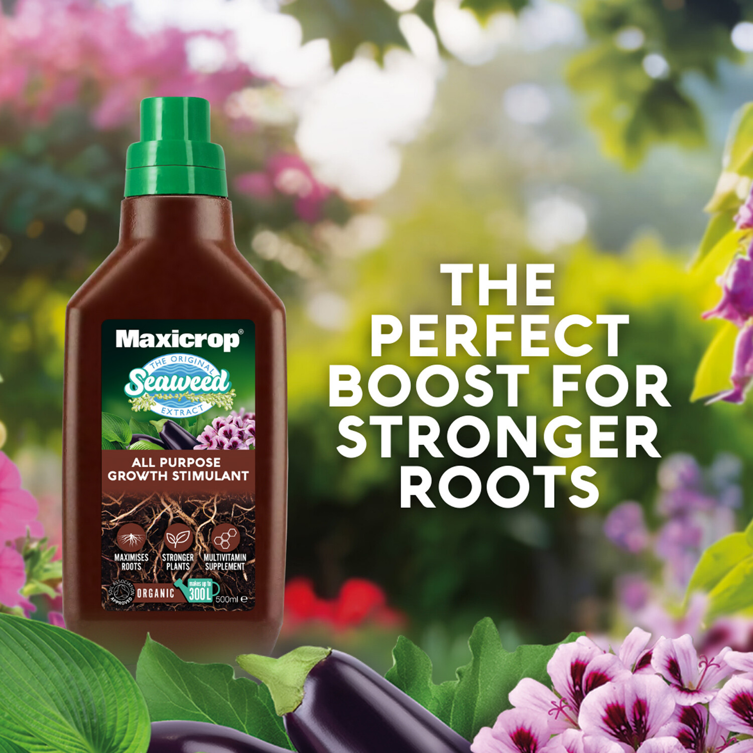 Maxicrop All Purpose Growth Stimulant - Brown Image 5