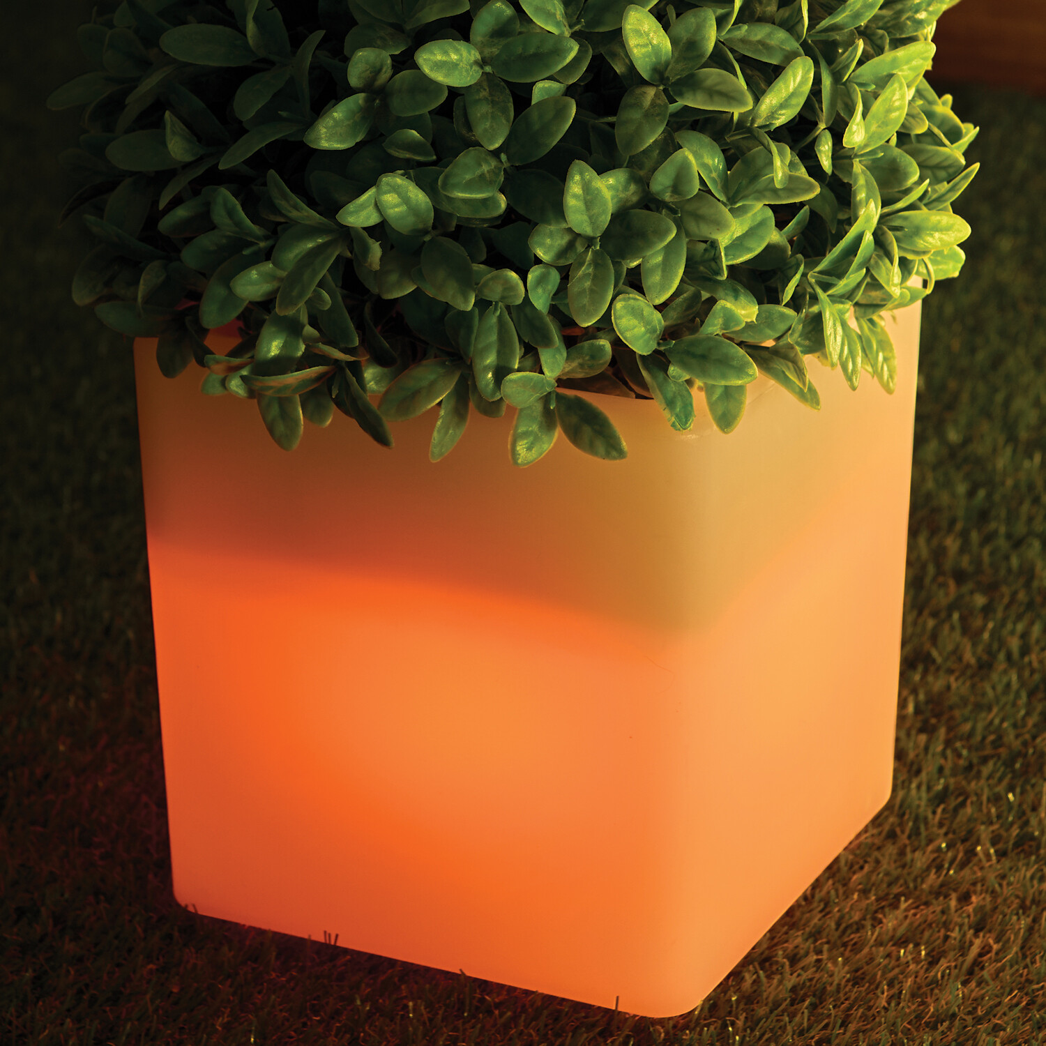 Cube Colourful Light Up Plant Pot Image 4