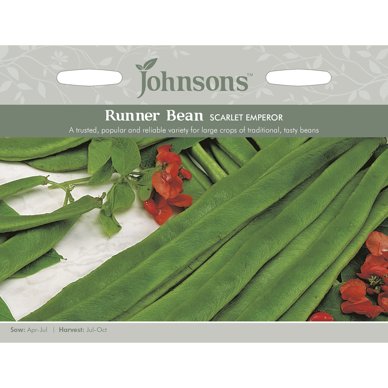 Johnsons Scarlet Emperor Runner Bean Seeds Image 2