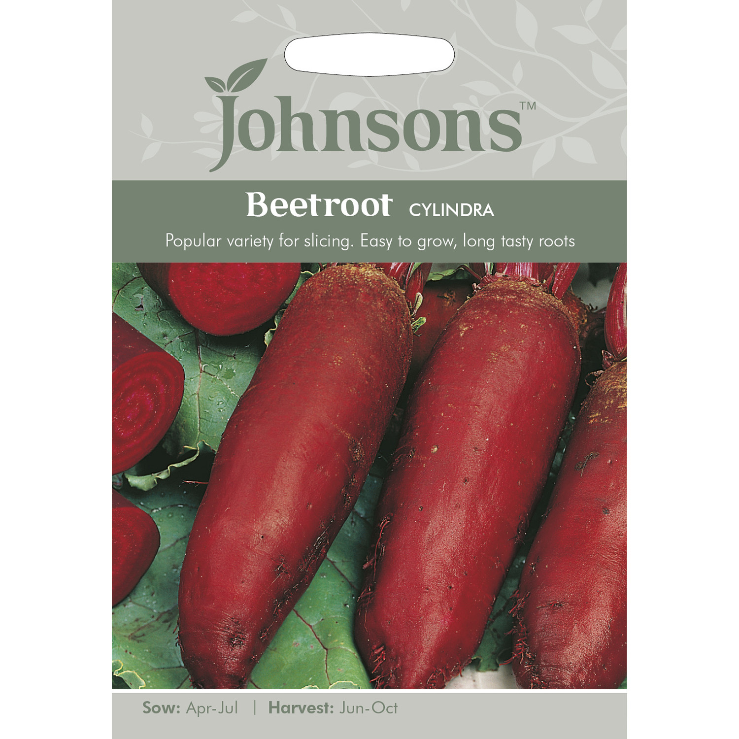 Johnsons Cylindra Beetroot Seeds Image 2