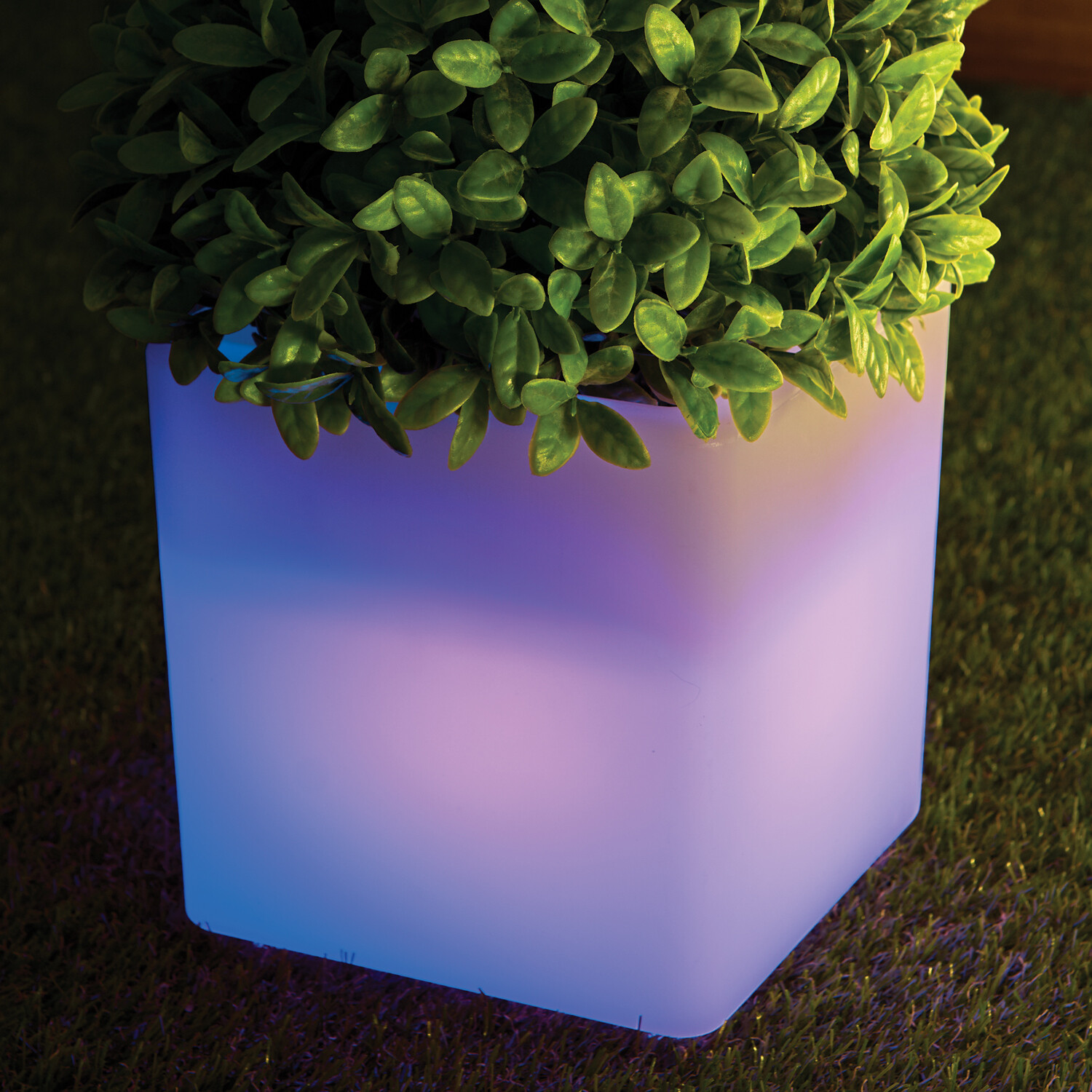 Cube Colourful Light Up Plant Pot Image 5