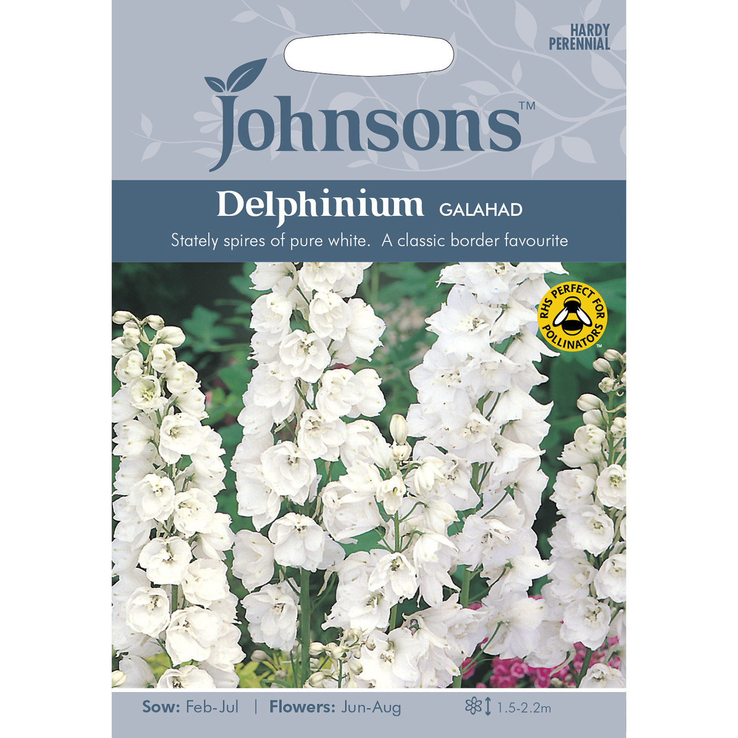 Johnsons Delphinium Galahad Flower Seeds Image 2