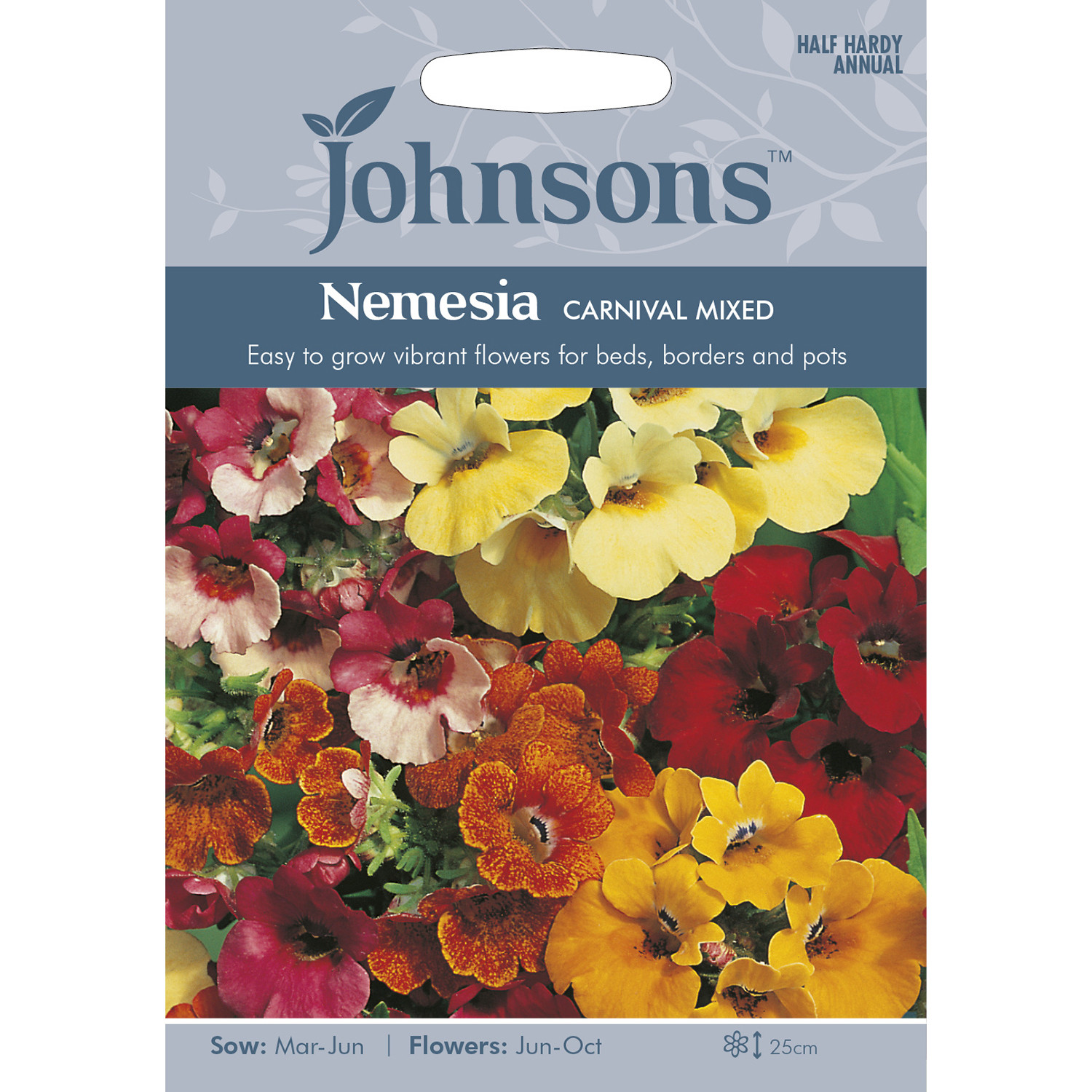 Johnsons Carnival Mixed Nemesia Flower Seeds Image 2