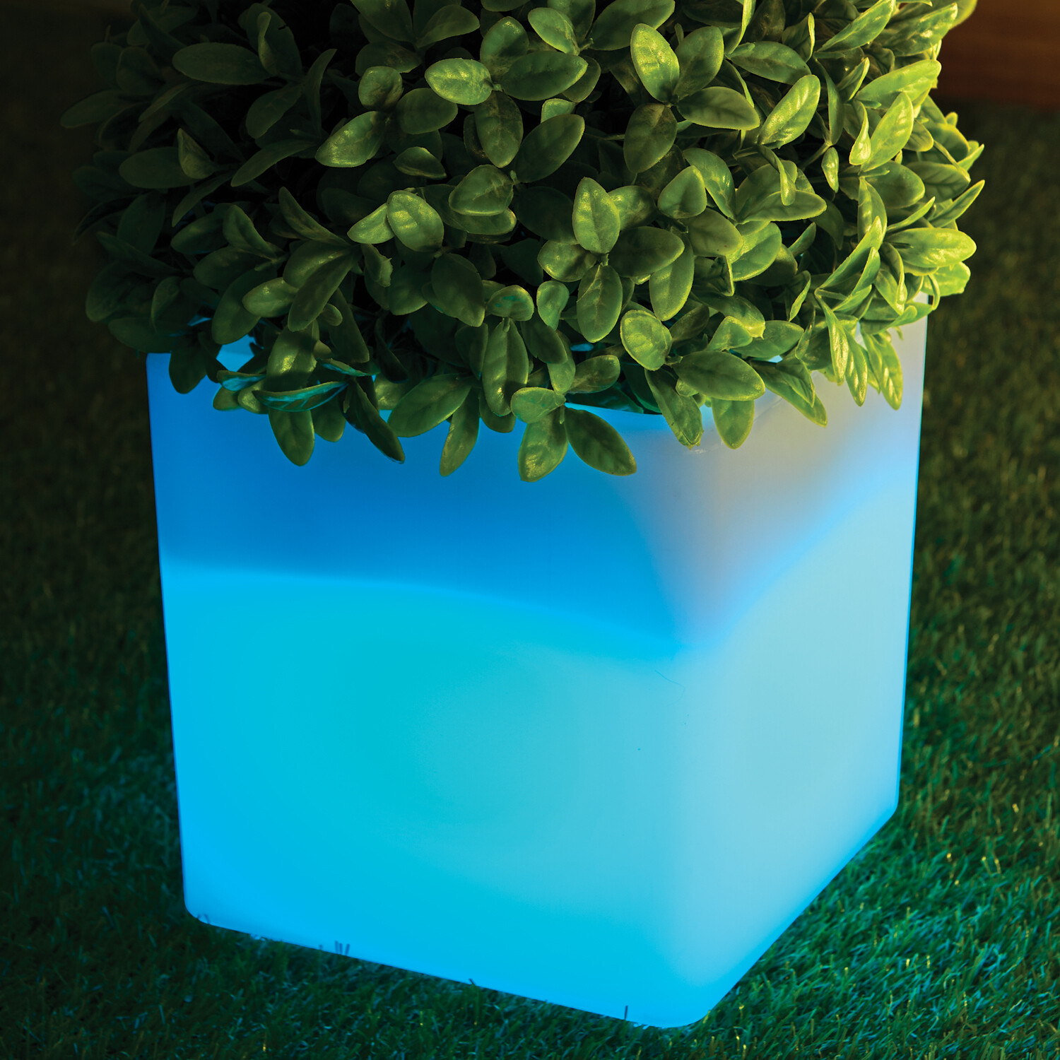 Cube Colourful Light Up Plant Pot Image 6