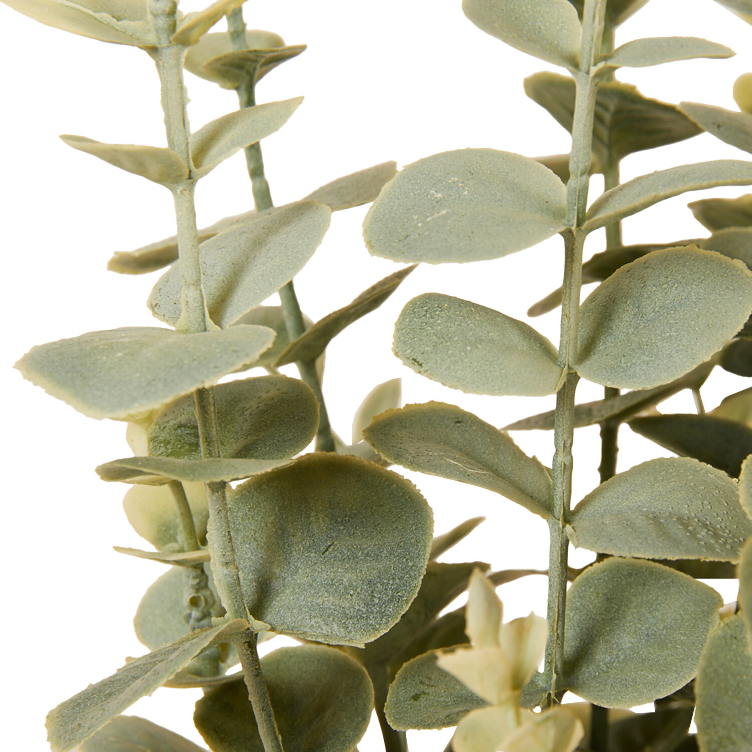 Eucalyptus in Water Hyacinth Basket 40cm - Green and Brown Image 3