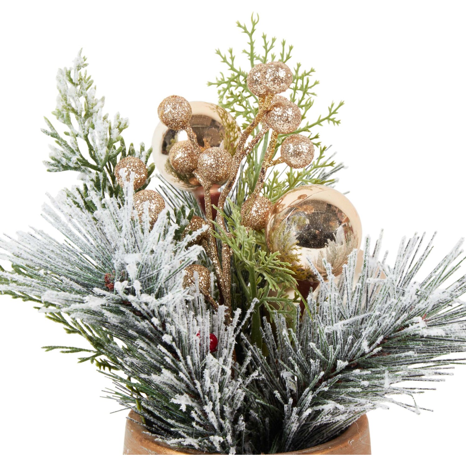 Christmas Potted Floristry Arrangement - Green or Orange Image 6