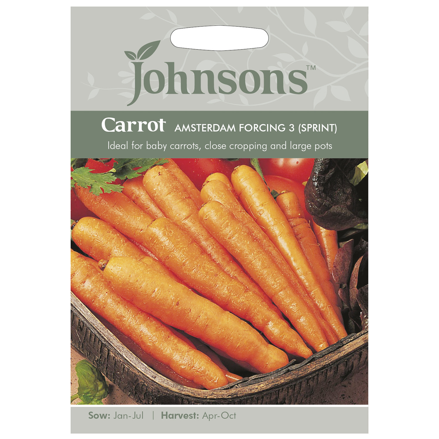 Johnsons Jonhsons Amsterdam Forcing 3 Sprint Carrot Seeds Image 2
