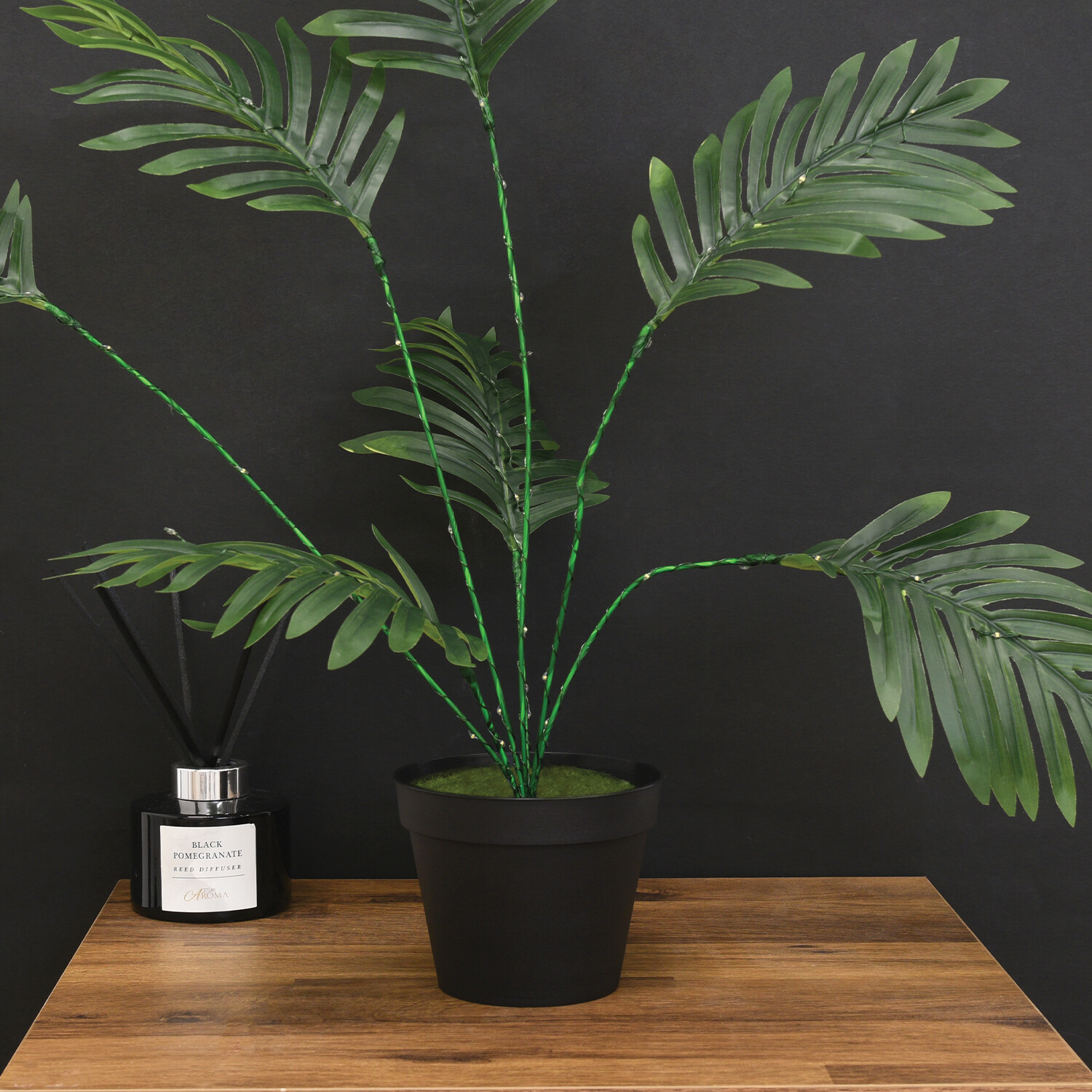 Table Palm Tree Light Green Image 3