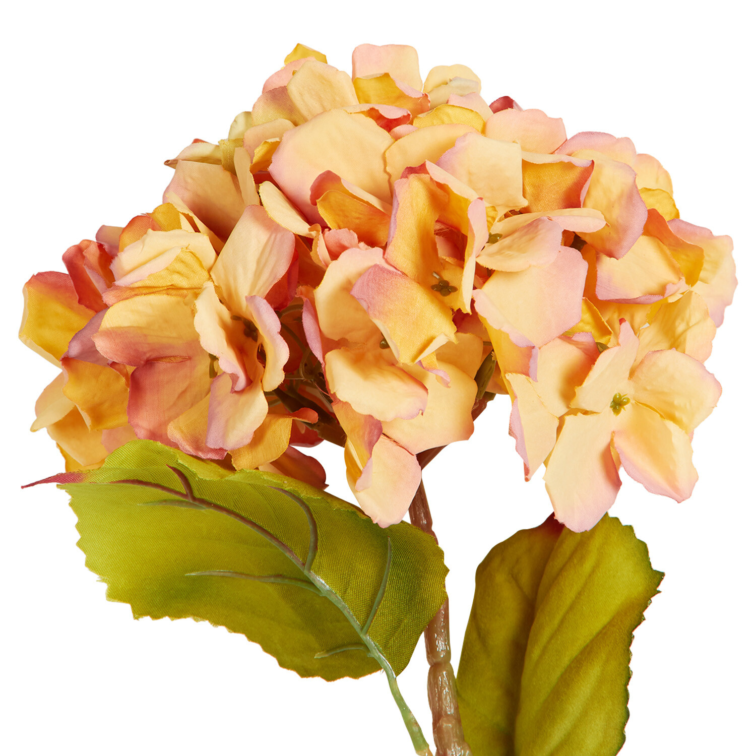 Assorted Hydrangea Single Stem - Orange or Purple Image 6