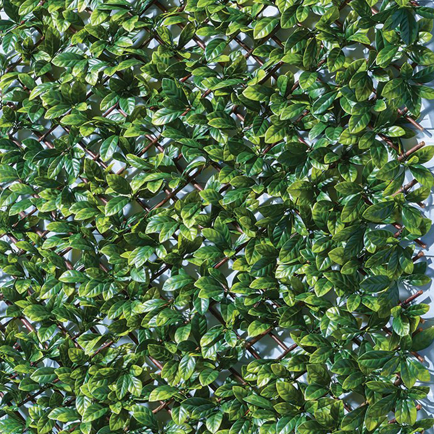 Expanding Laurus Fence 200 x 100cm Image 6