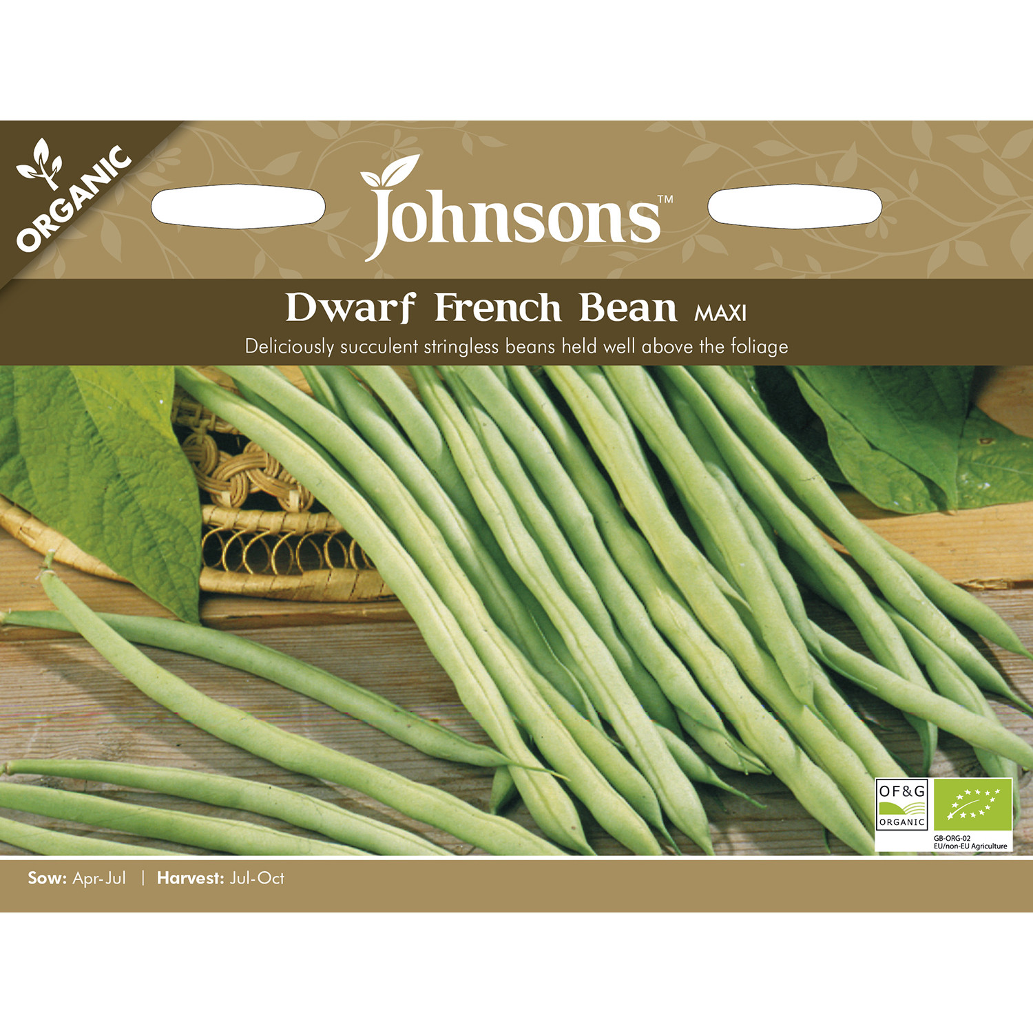 Johnsons Organic Maxi Dwarf French Bean Seeds Image 2