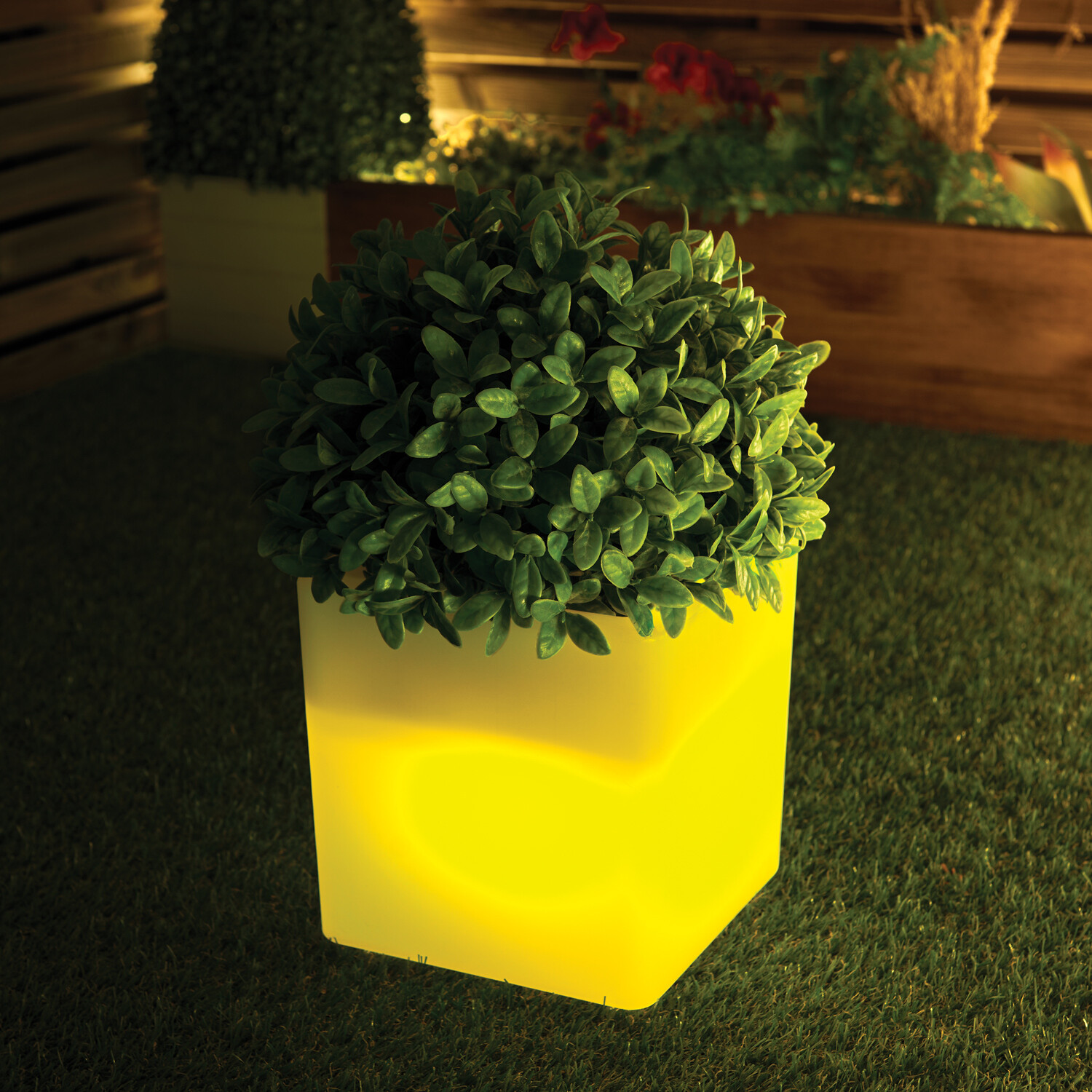 Cube Colourful Light Up Plant Pot Image 3