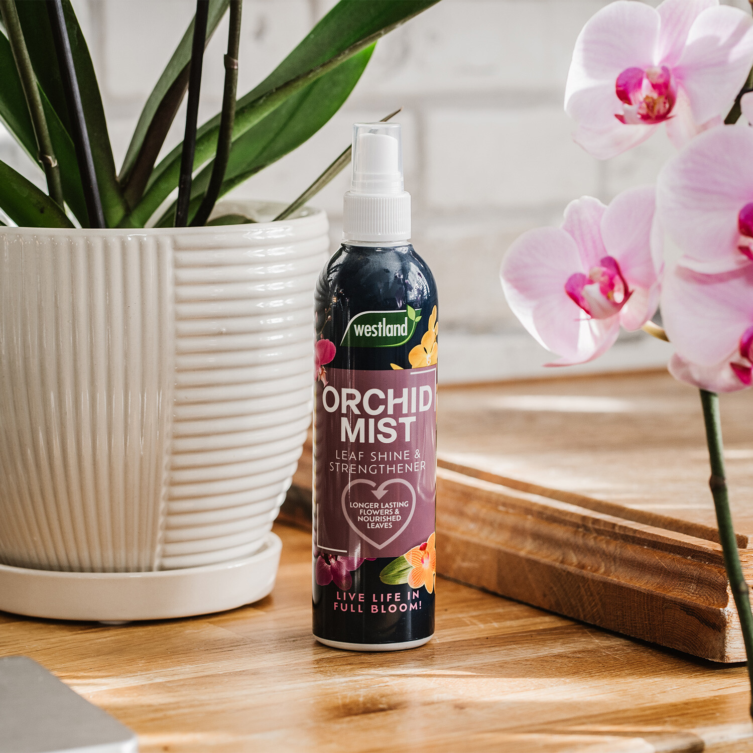 Westland Orchid Mist 250ml Image 2