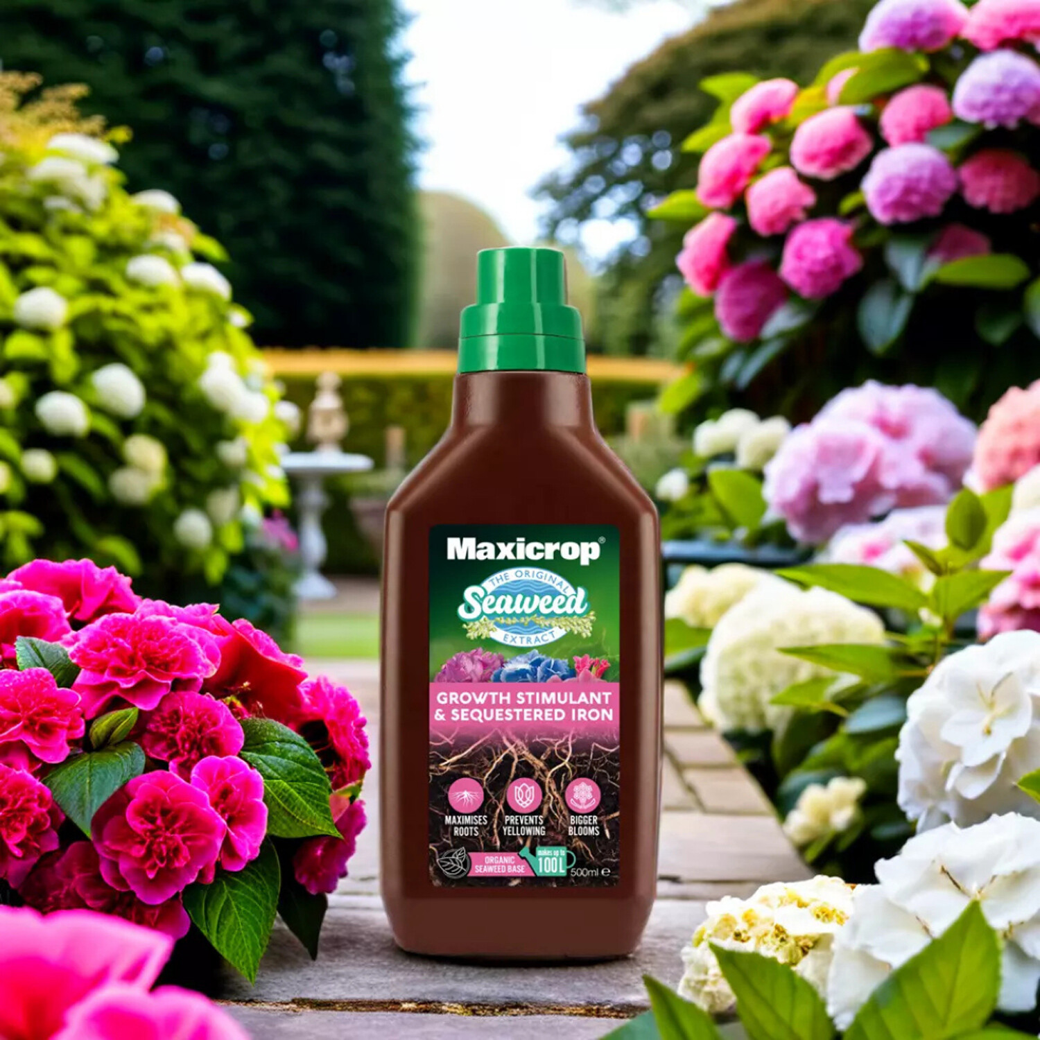 Maxicrop Growth Stimulant and Sequestered Iron 500ml - Brown Image 4