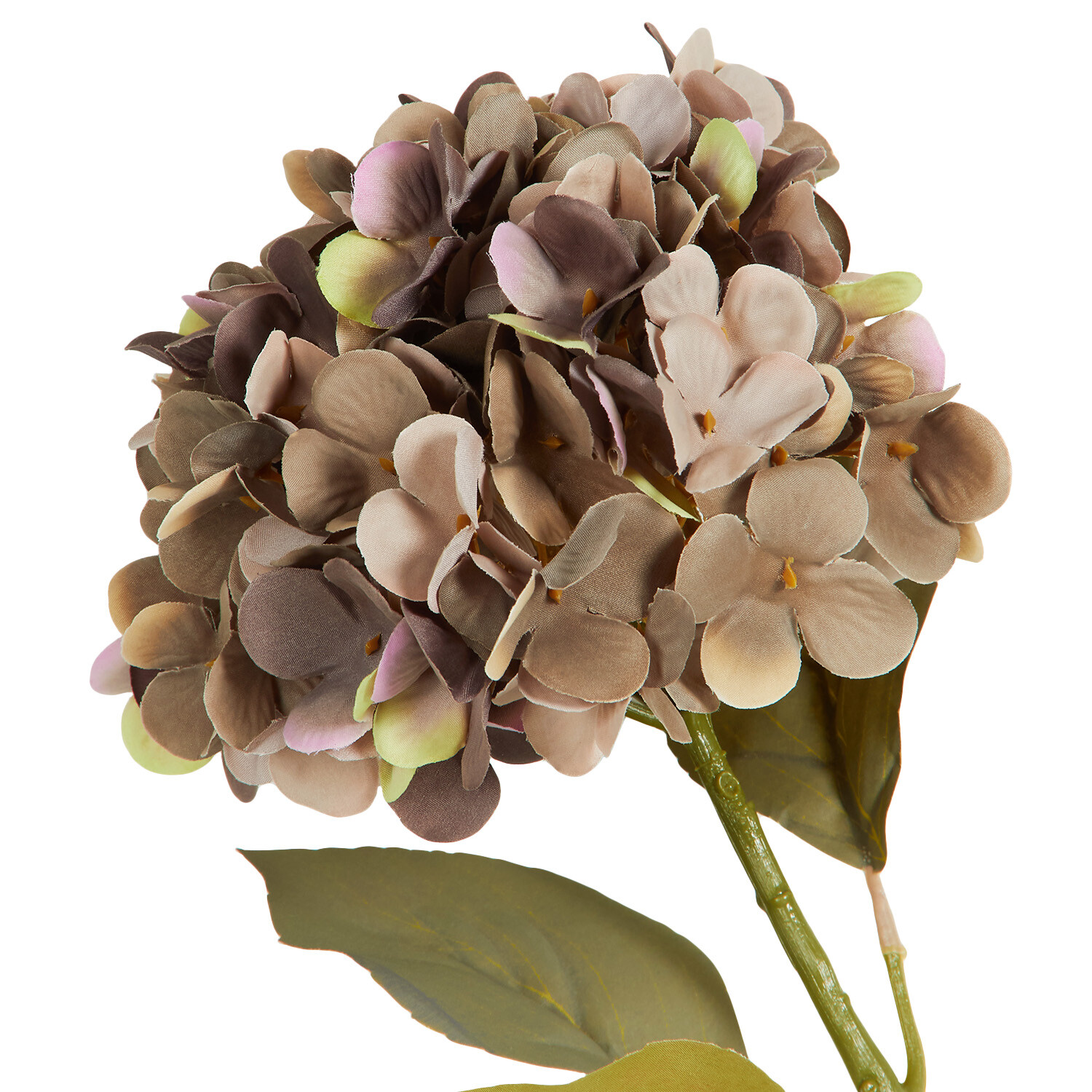 Assorted Hydrangea Single Stem - Orange or Purple Image 7