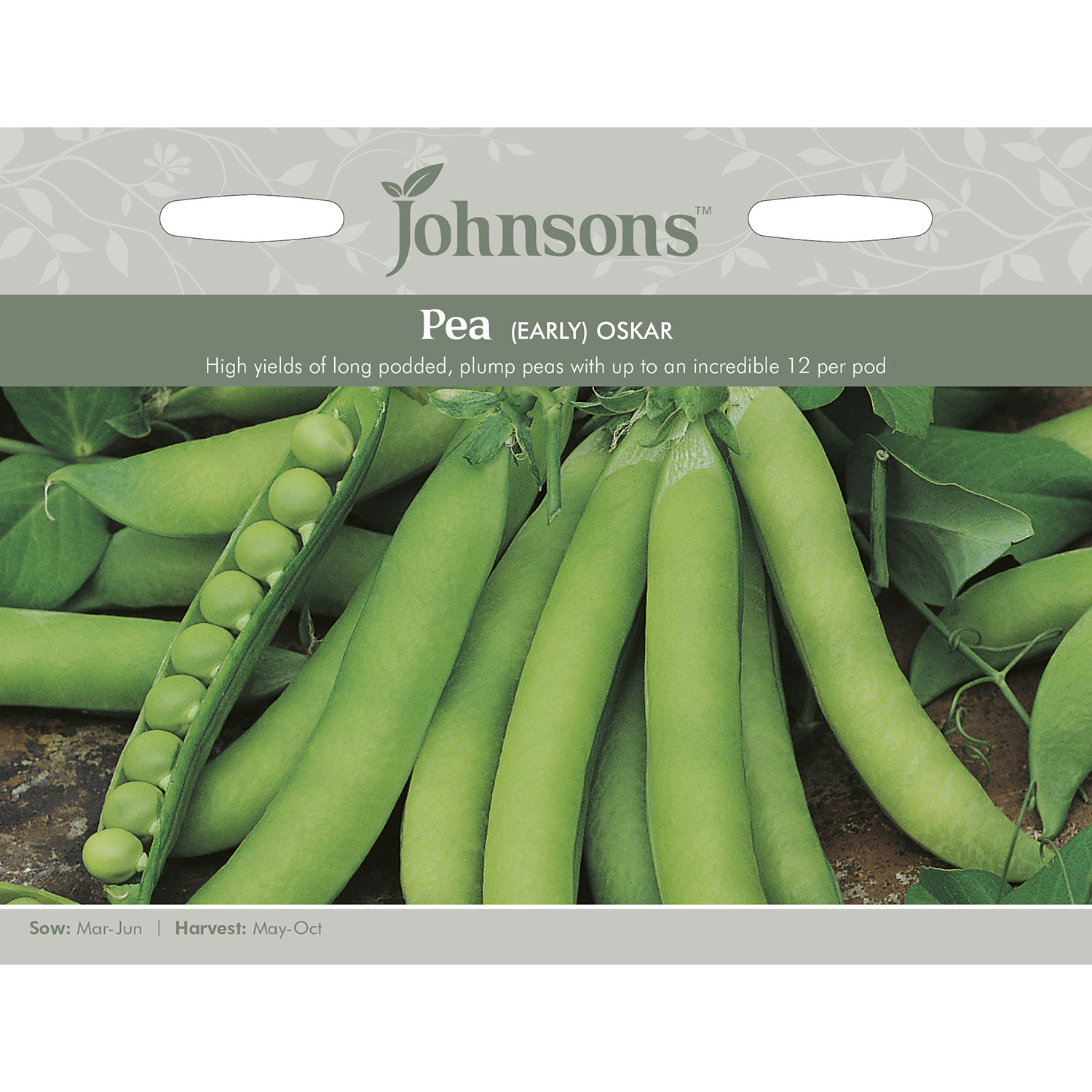 Johnsons Oskar Early Pea Seeds Image 2