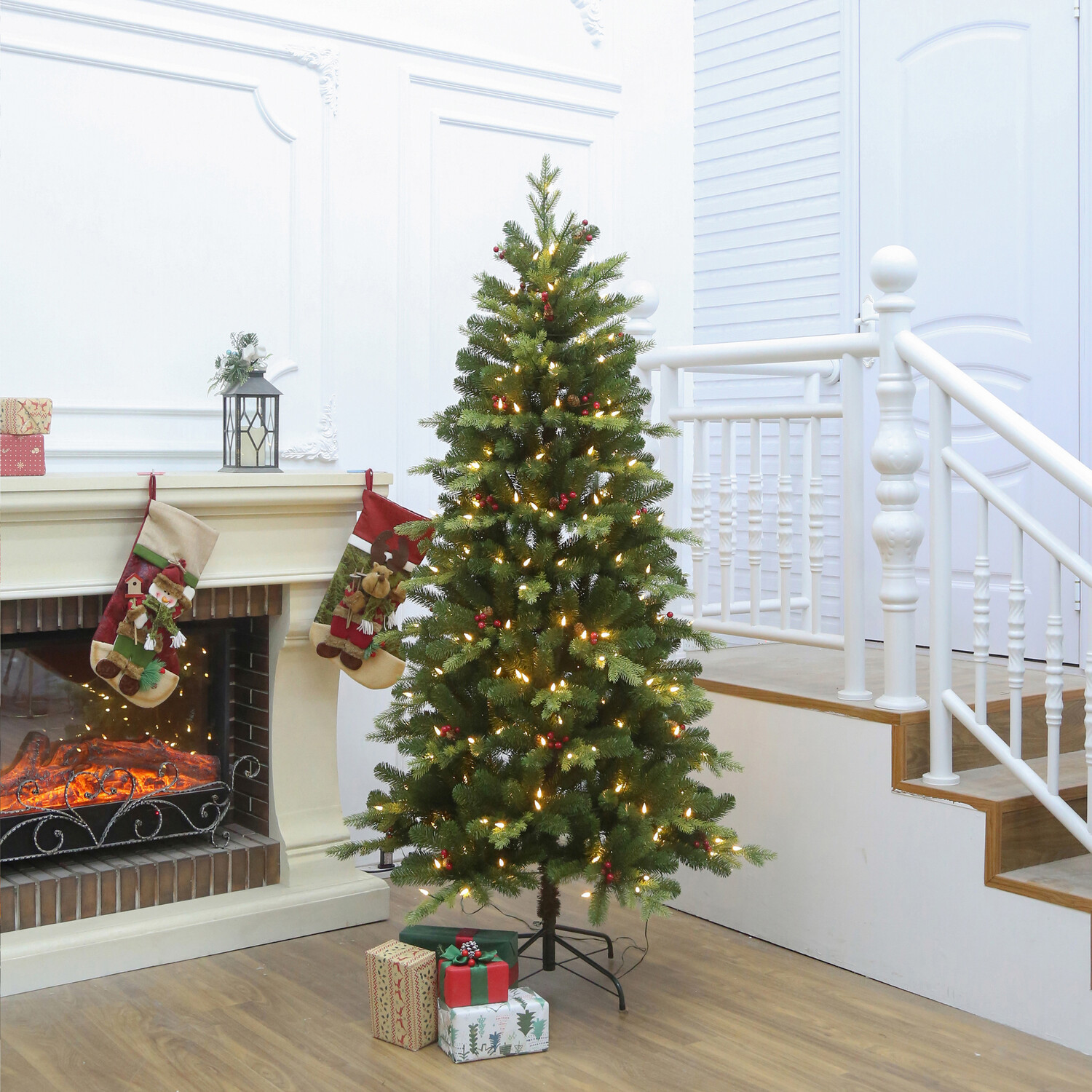 Montgomery Fir Tree Green Image 2