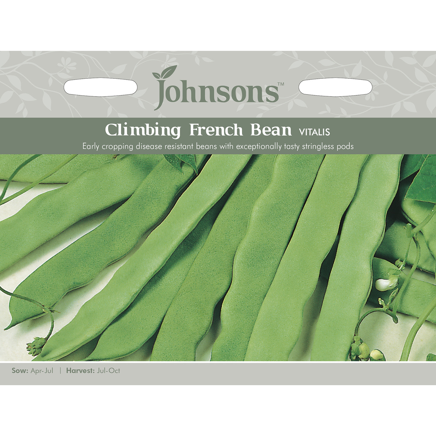 Johnsons Vitalis Climbing French Bean Seeds Image 2