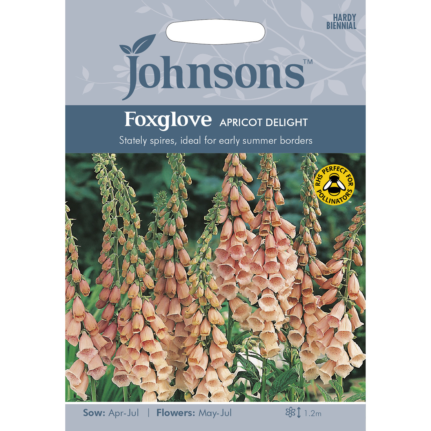 Johnsons Foxglove Apricot Delight Flower Seeds Image 2