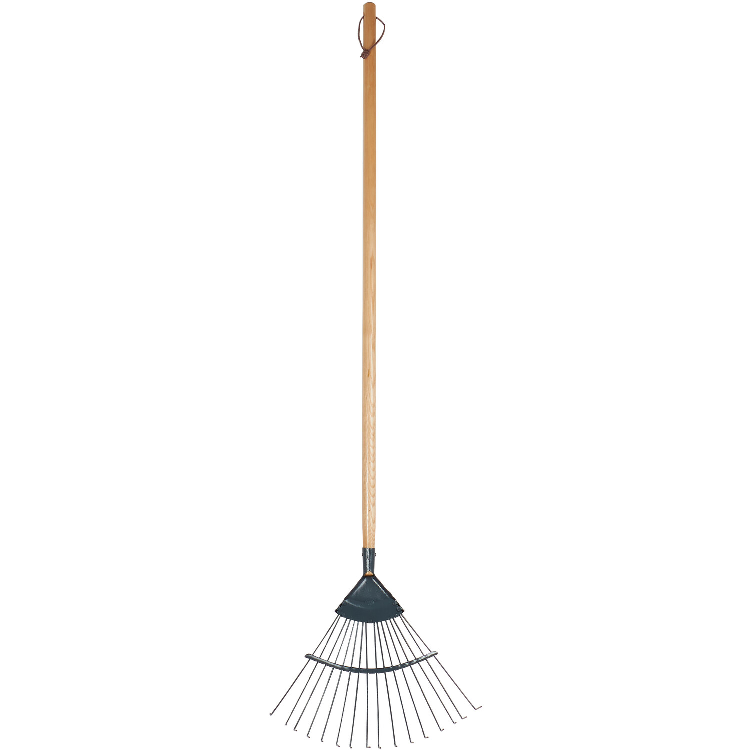 Leaf Rake with Ashwood Handle Image 2