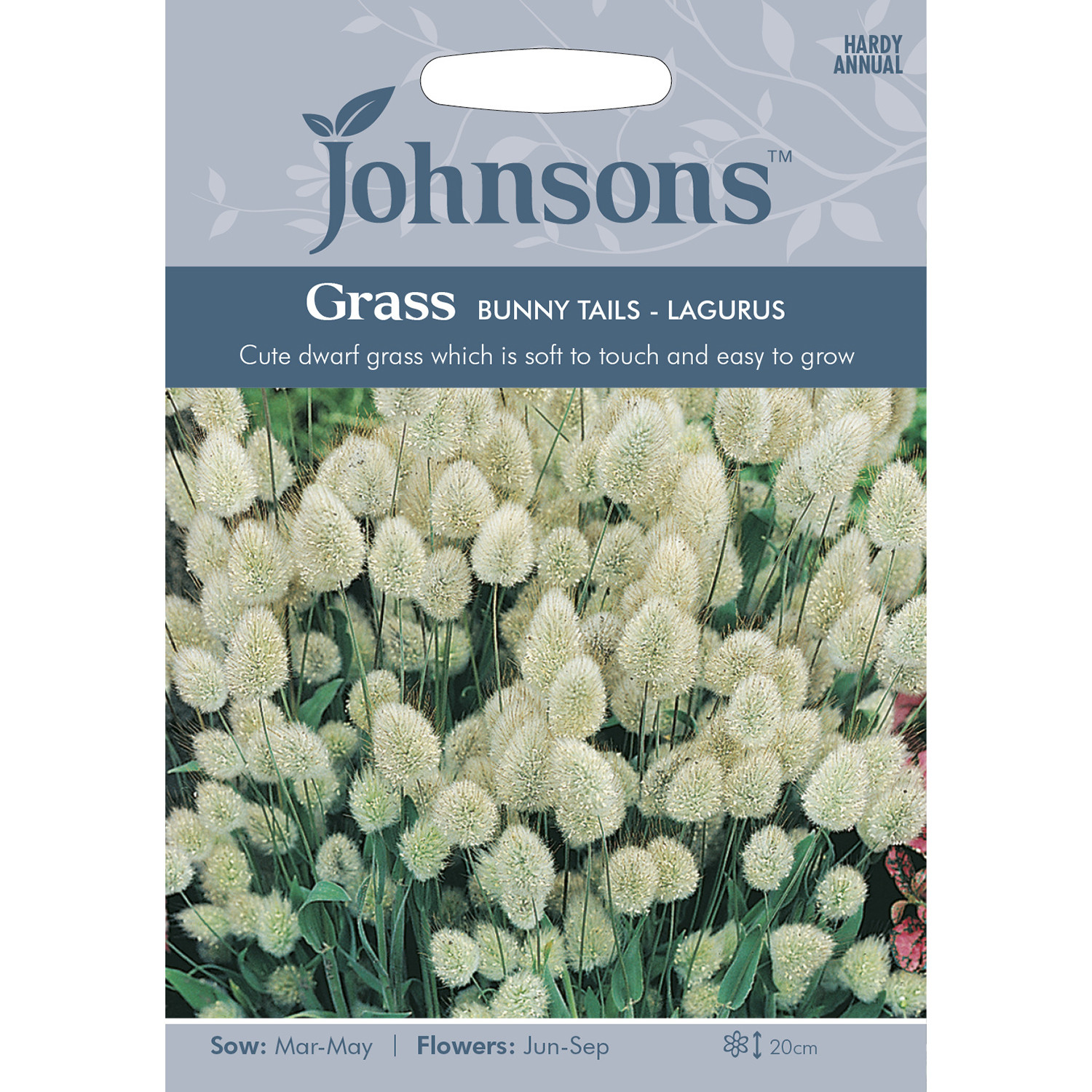 Johnsons Grass Lagurus Bunny Tails Seeds Image 2