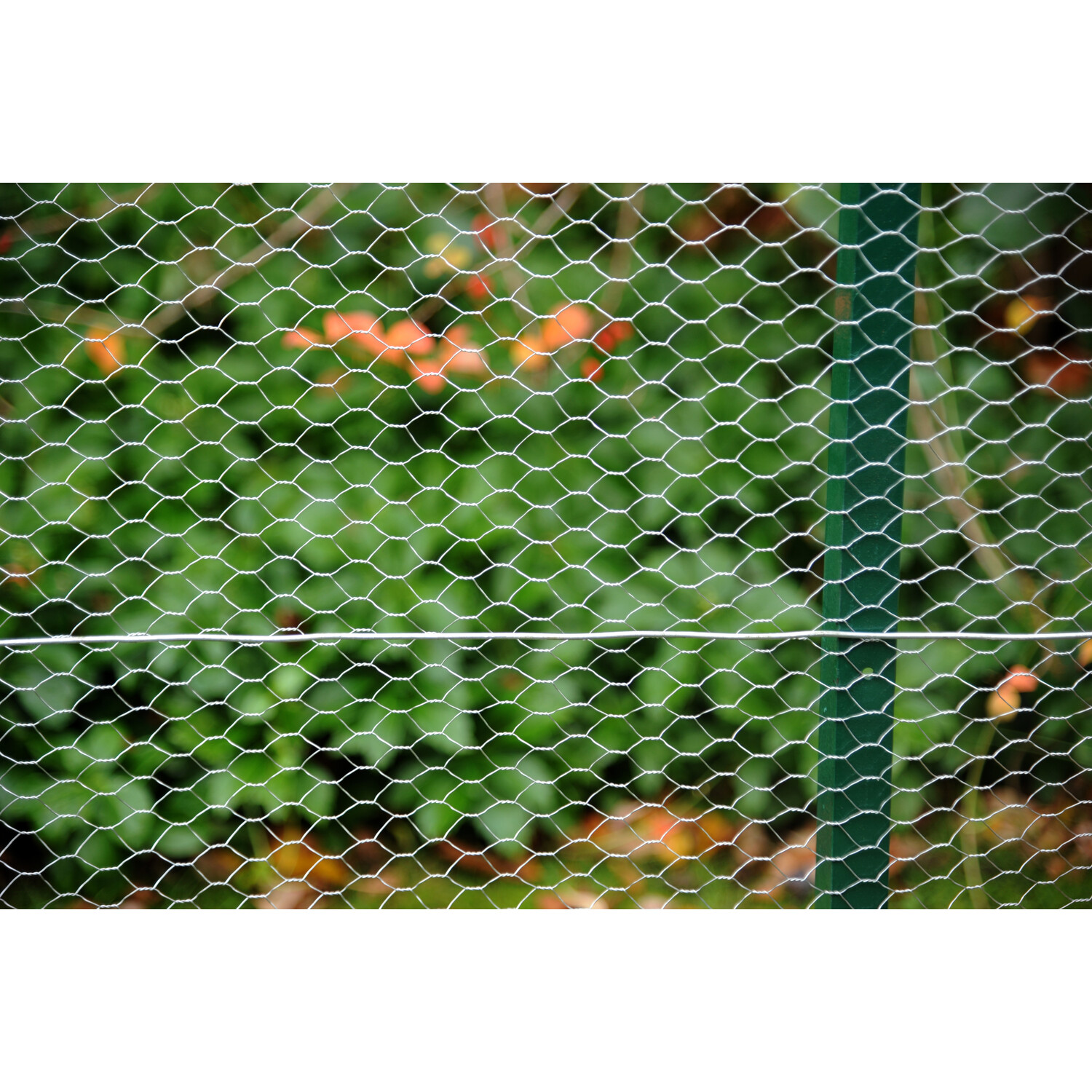 Apollo Gardening Galvanised Wire Netting 10m x 13cm Image 2