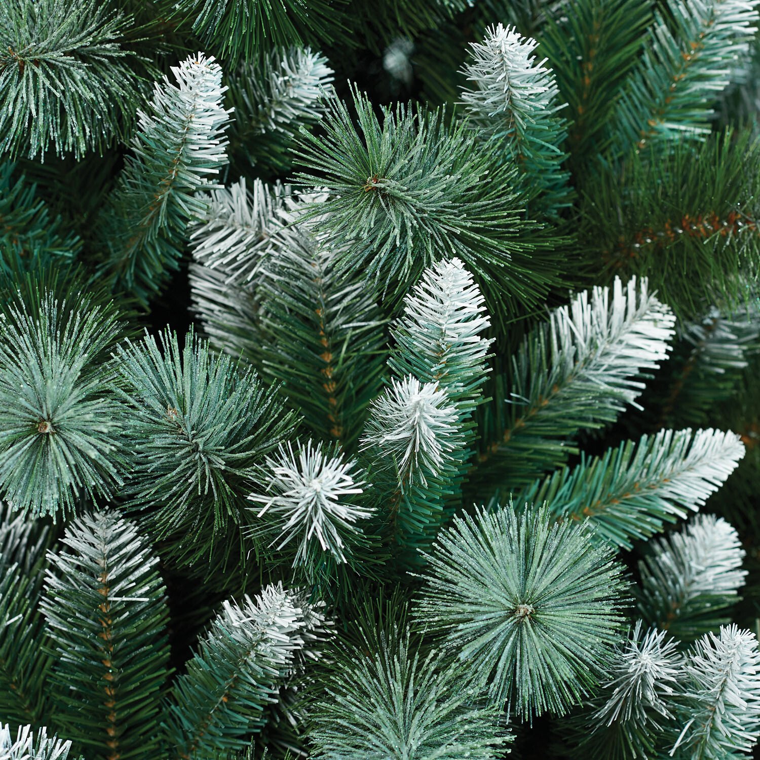 Emerald Pine Tree - 6.5ft Image 3