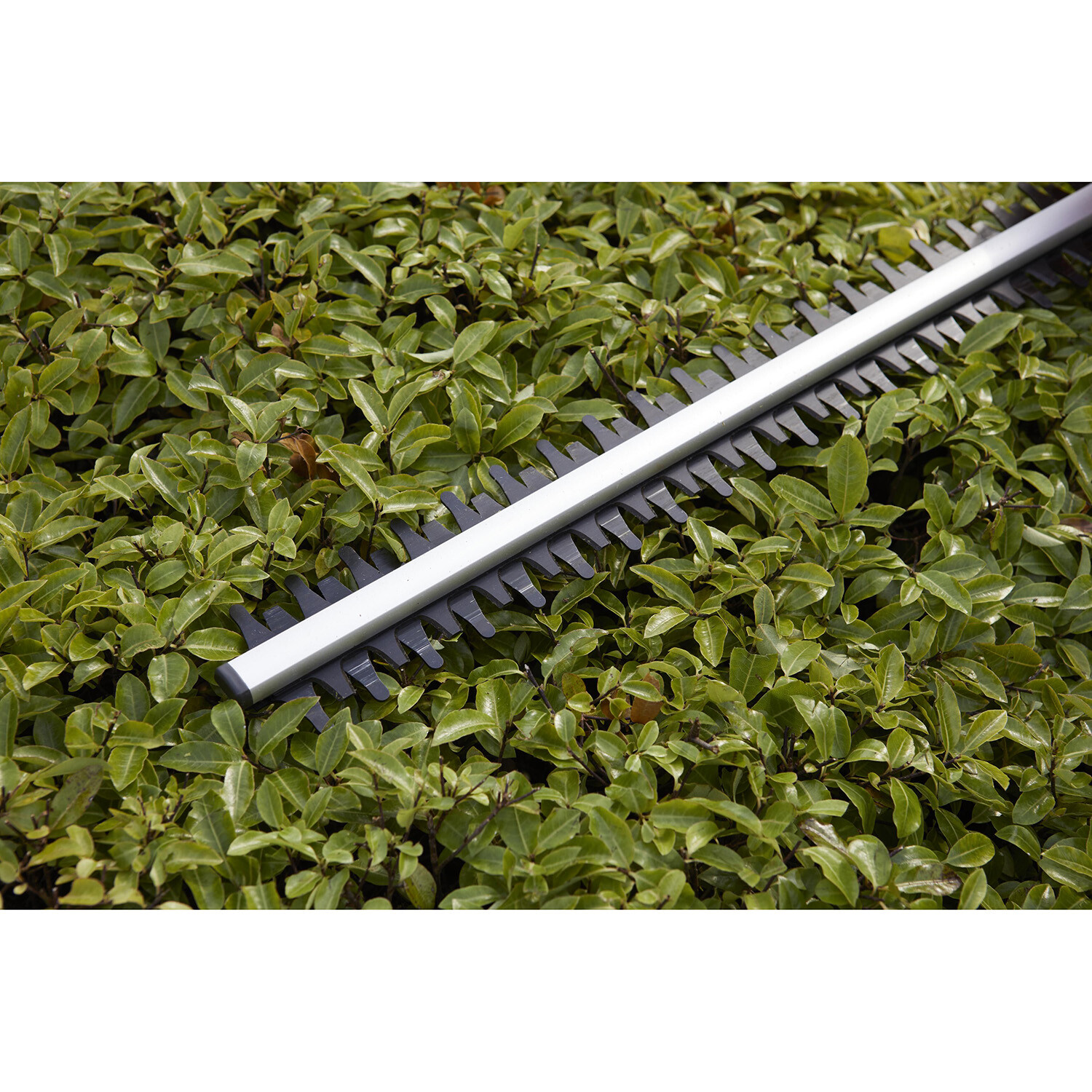 Easicut 450W Hedge Trimmer Image 3