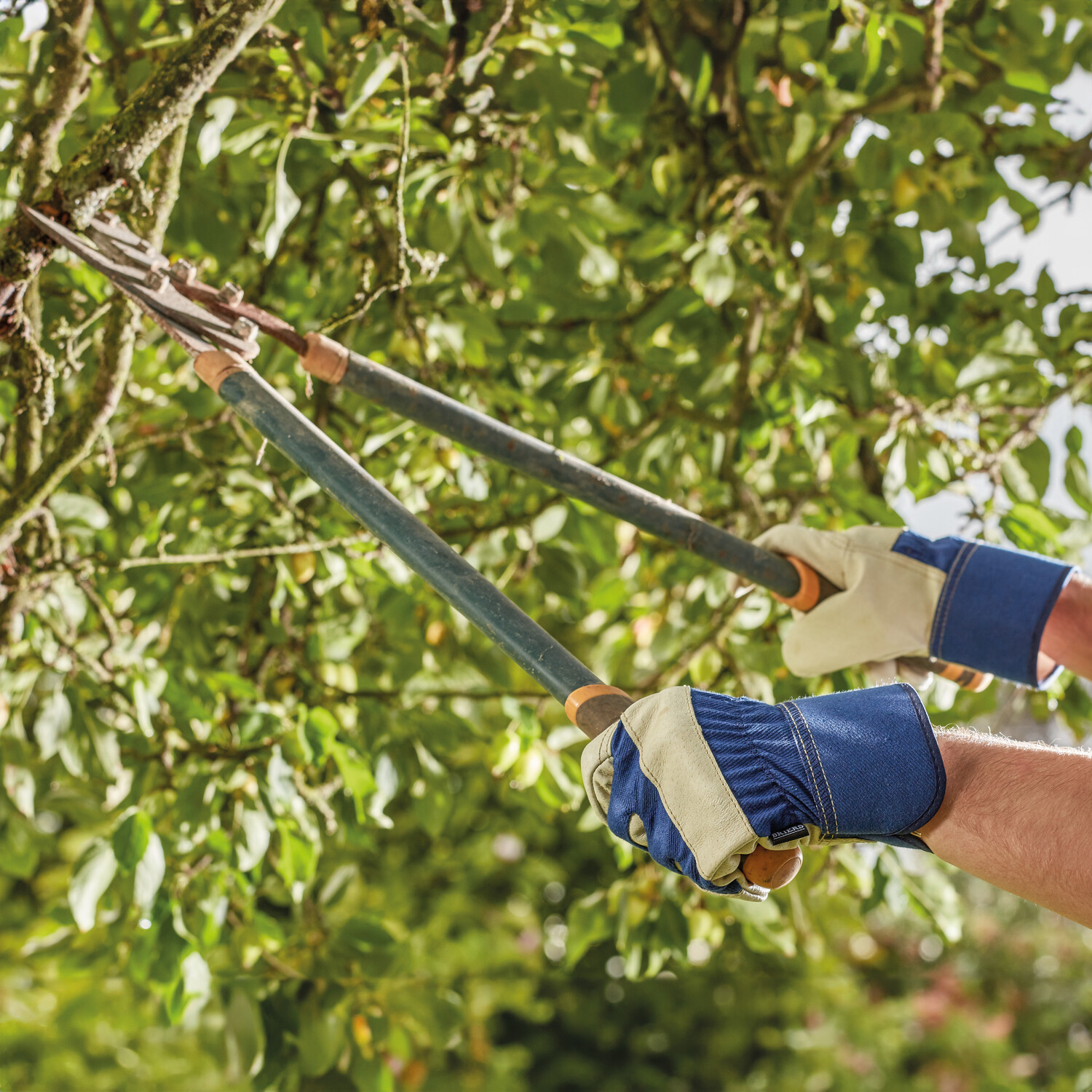 Large Premium Riggers White and Blue Image 2