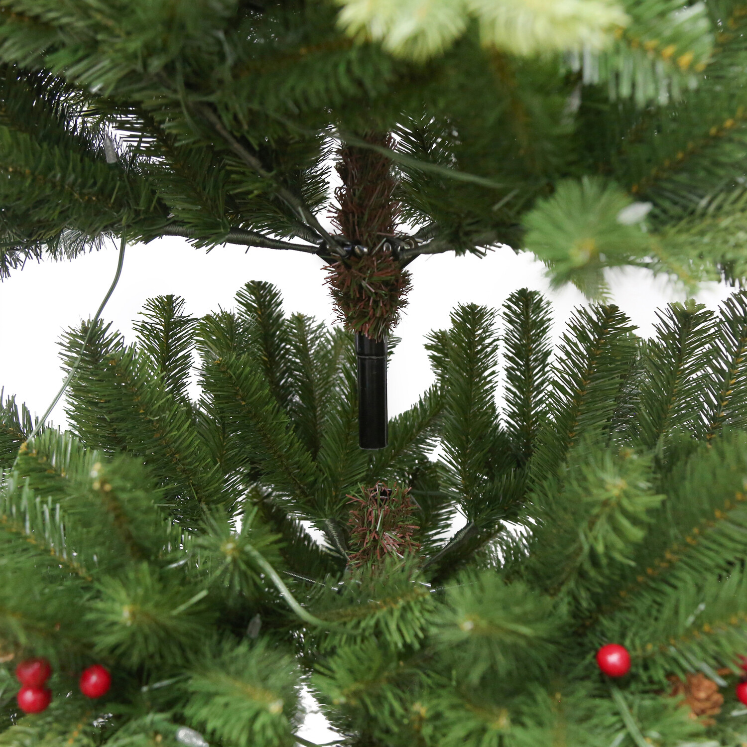 Montgomery Fir Tree Green Image 8