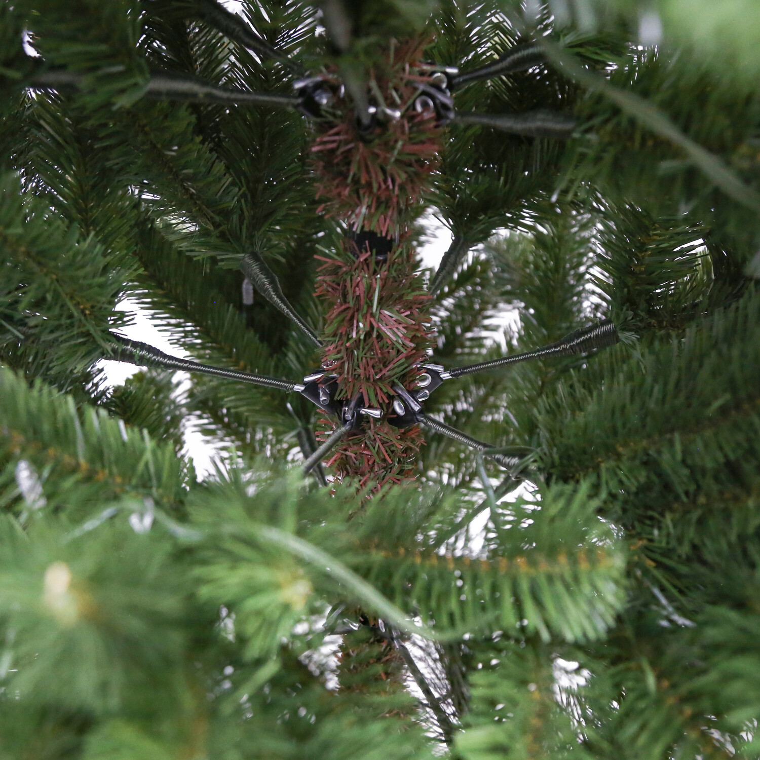 Montgomery Fir Tree Green Image 7