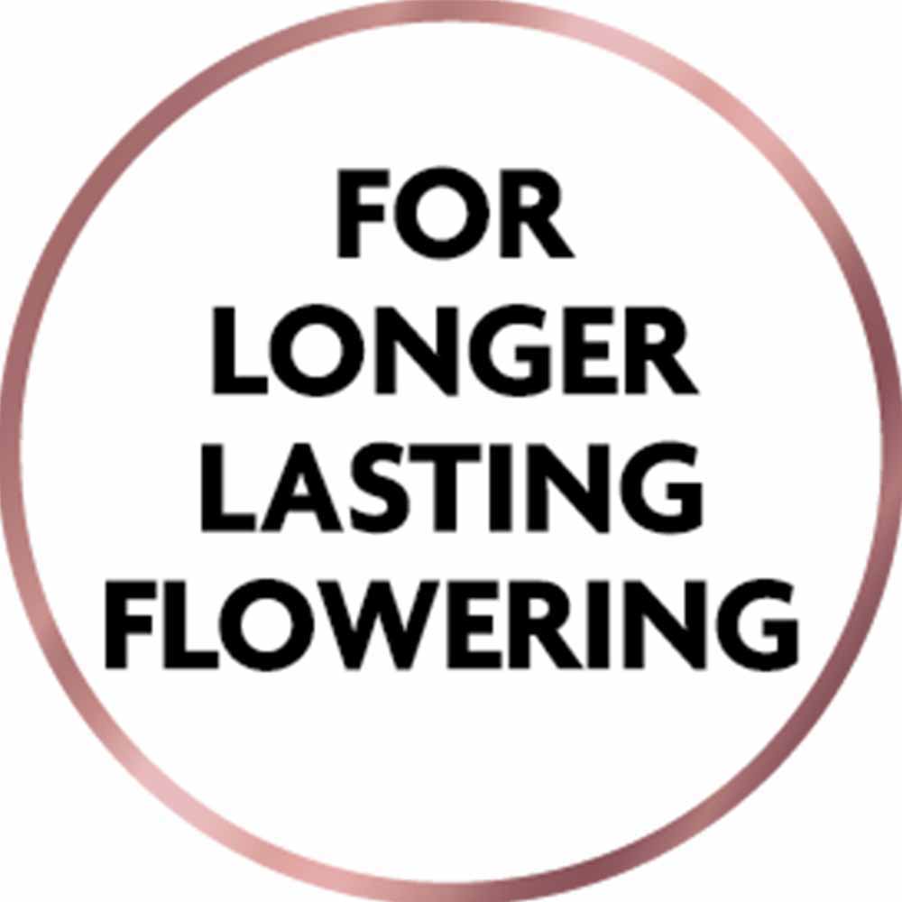 Miracle-Gro All Purpose Concentrated Liquid Plant Food 2.5L Image 5