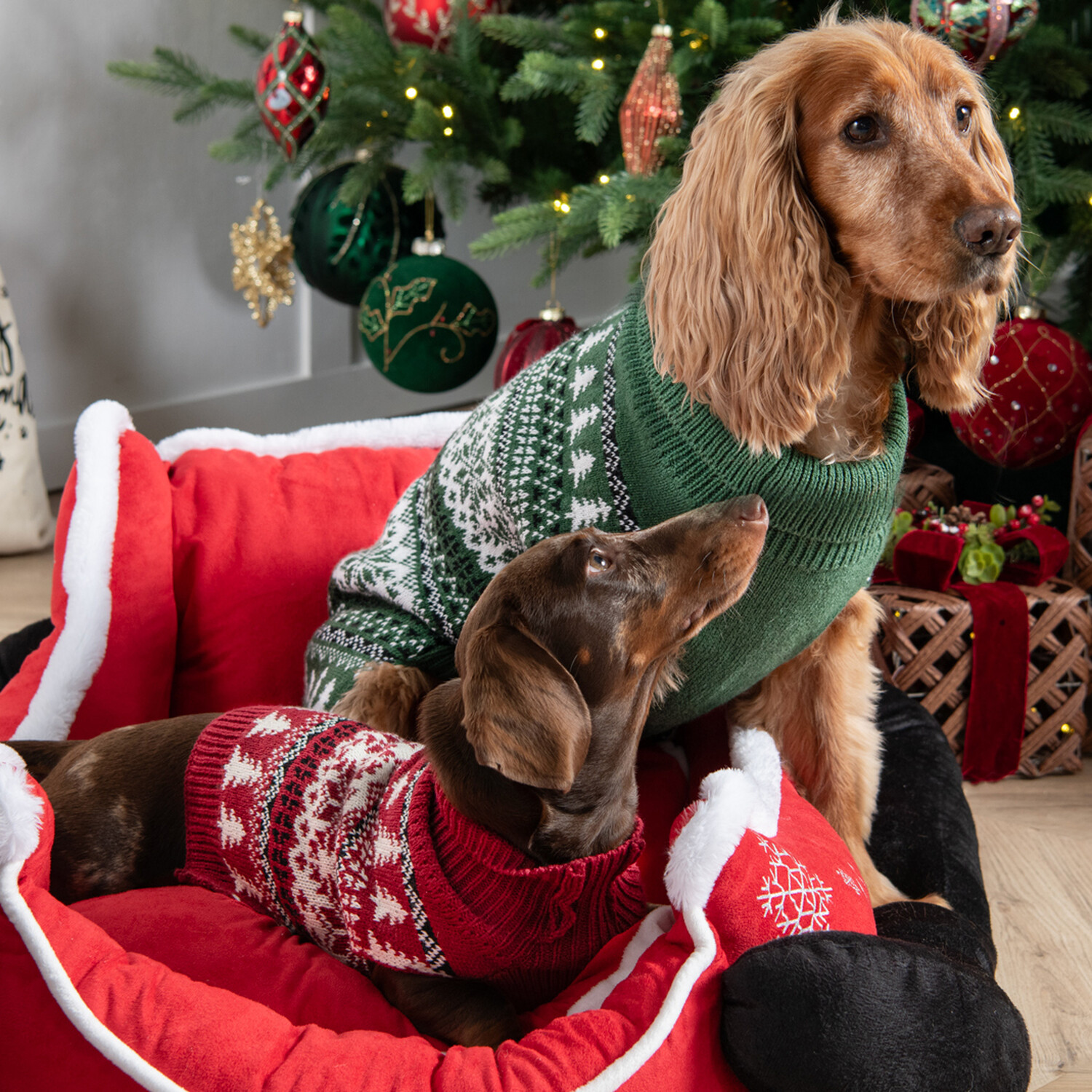 Fair Isle Dog Jumper XL Image 3
