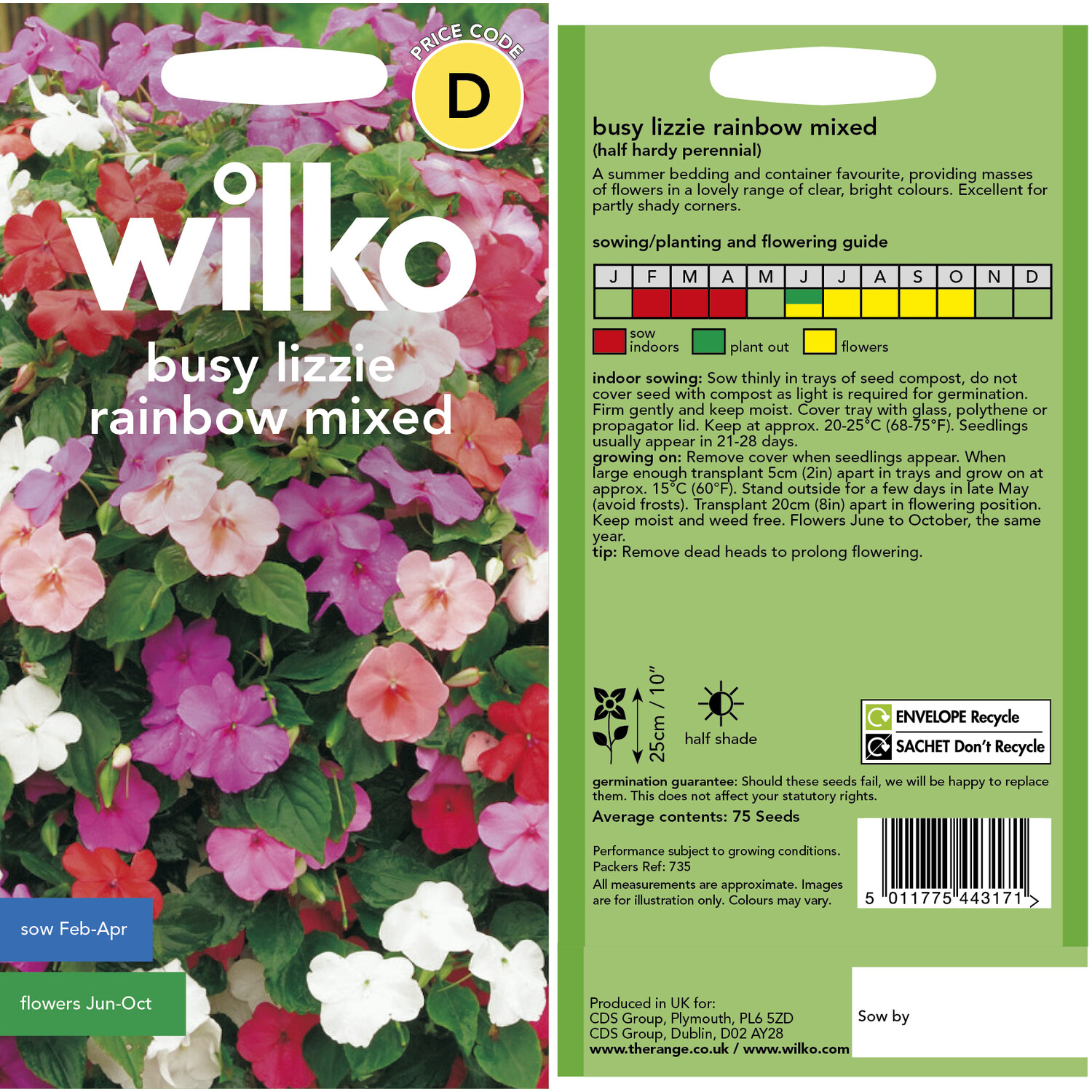 Busy Lizzie Rainbow Mix Seeds Image 3